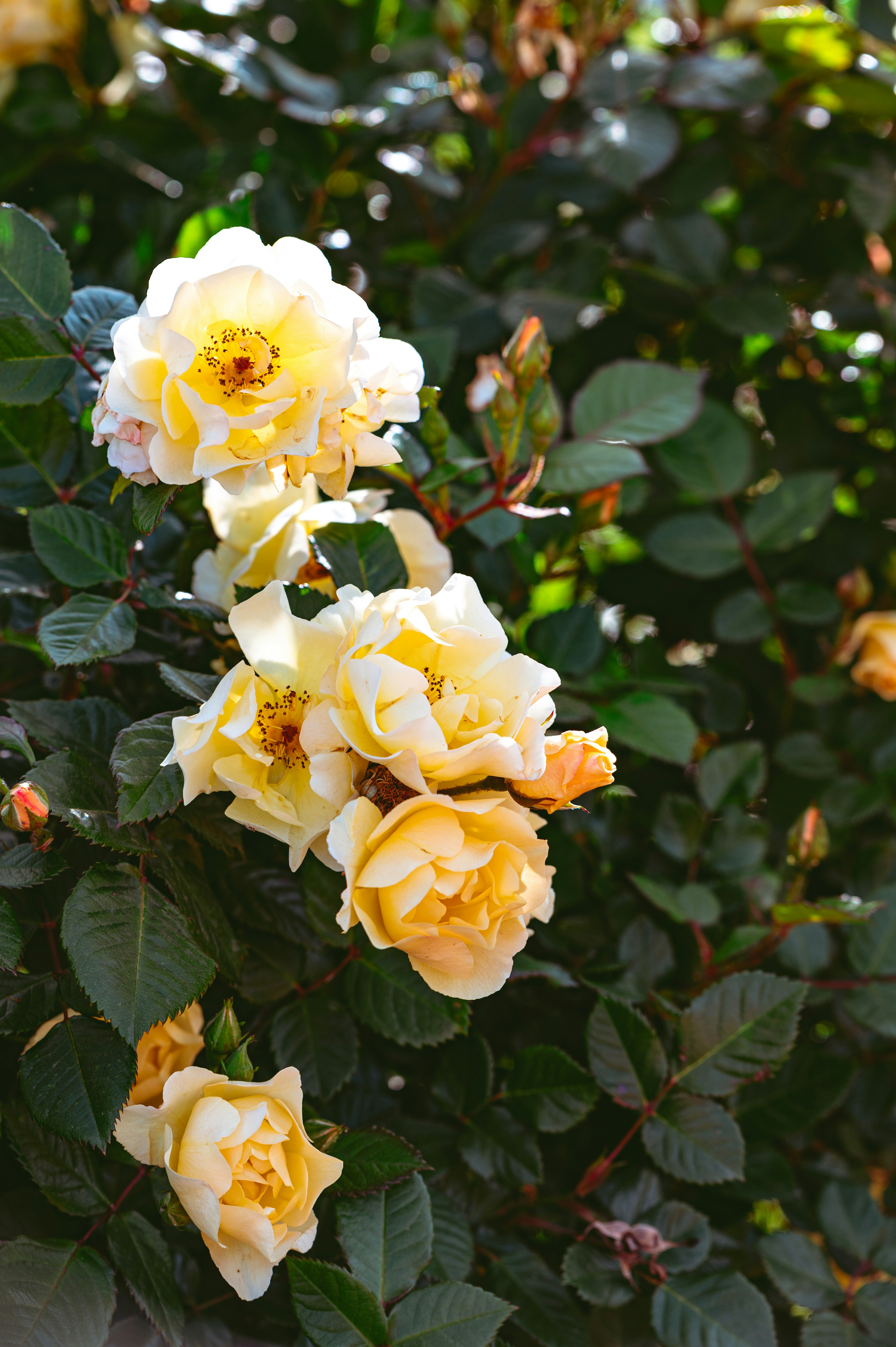 Photo by andreasbrun