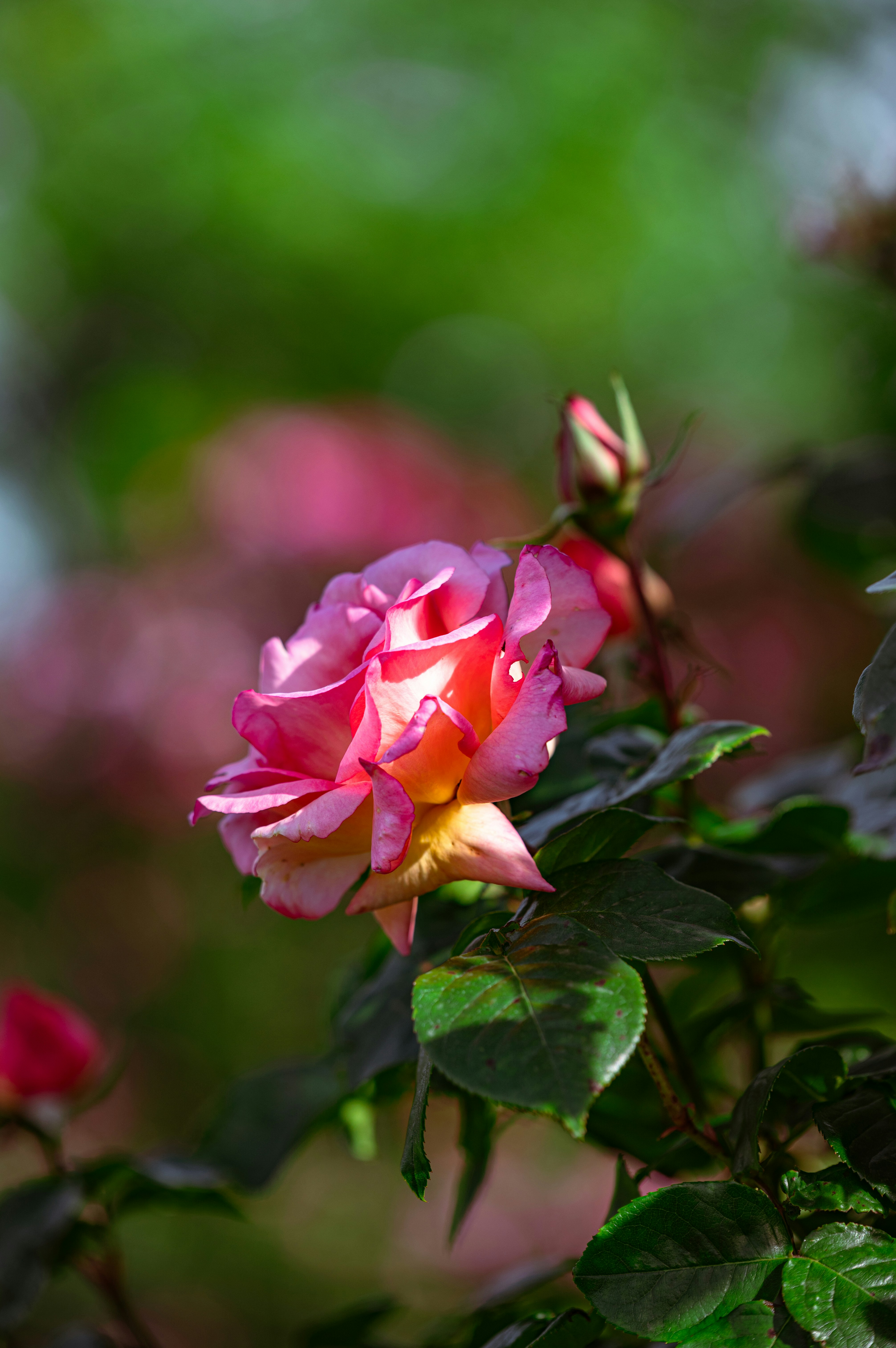 Photo by andreasbrun