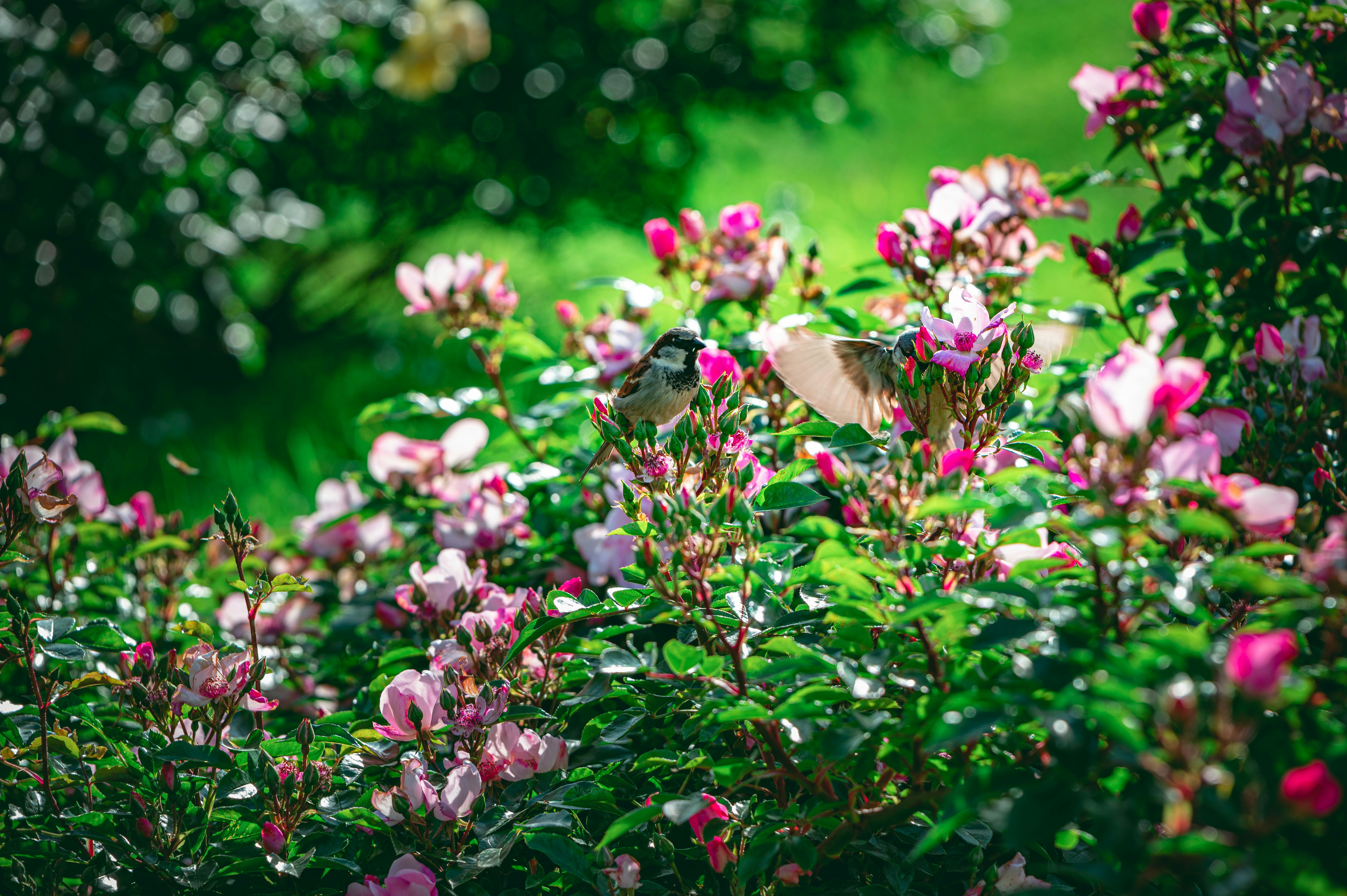 Photo by andreasbrun