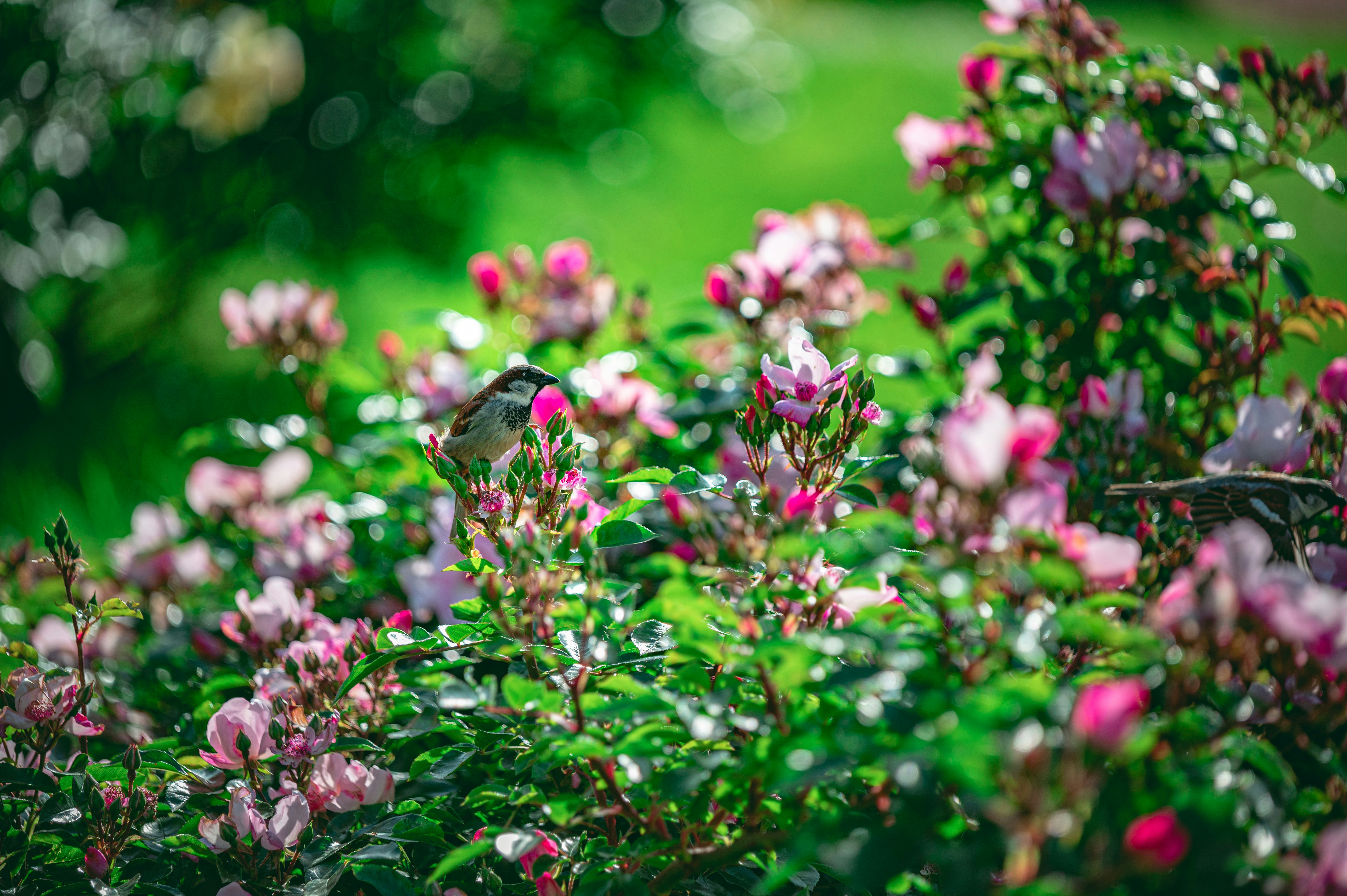 Photo by andreasbrun