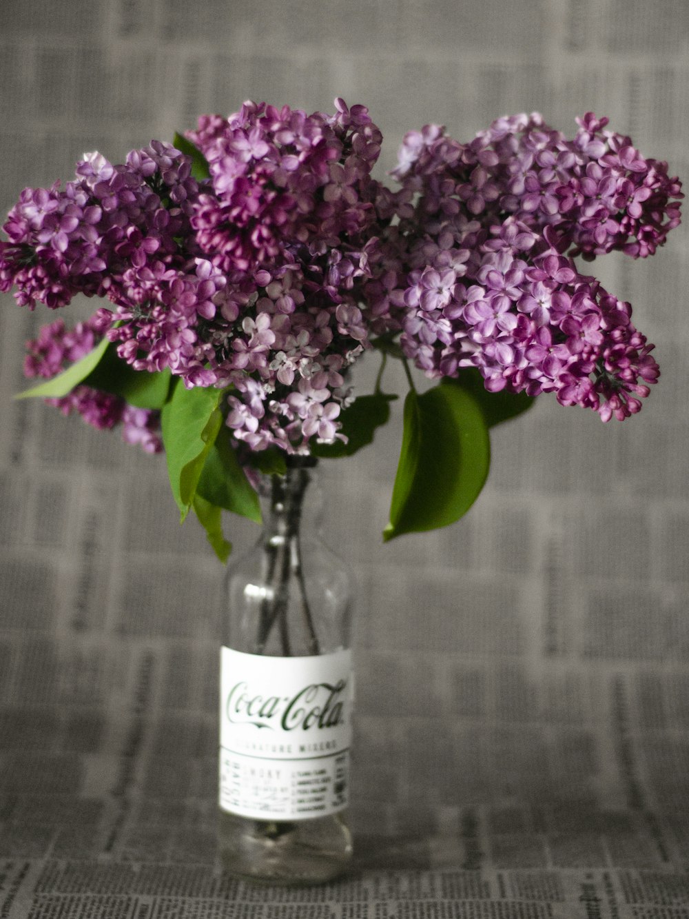 purple flowers in glass bottle