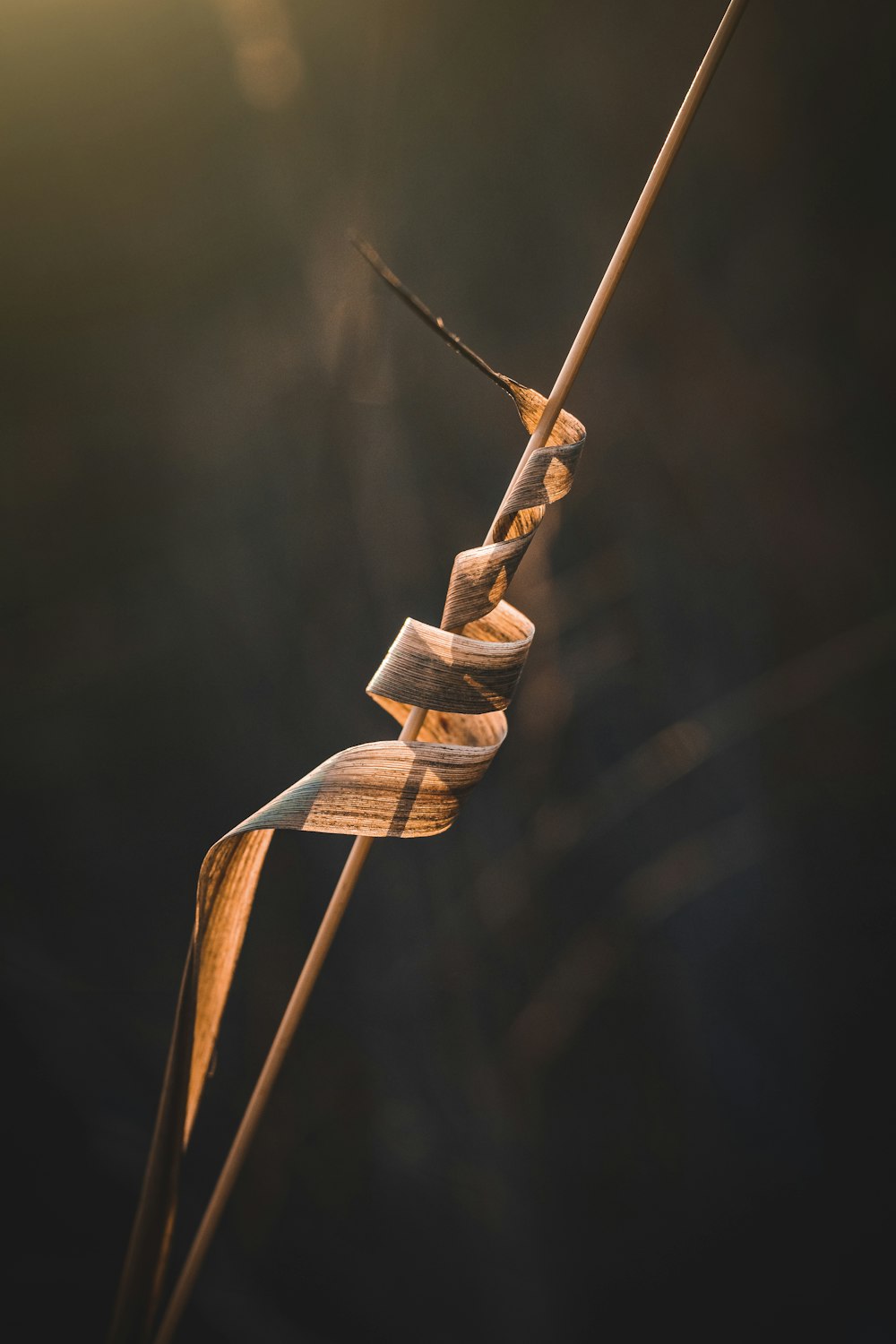 brown rope tied on brown rope