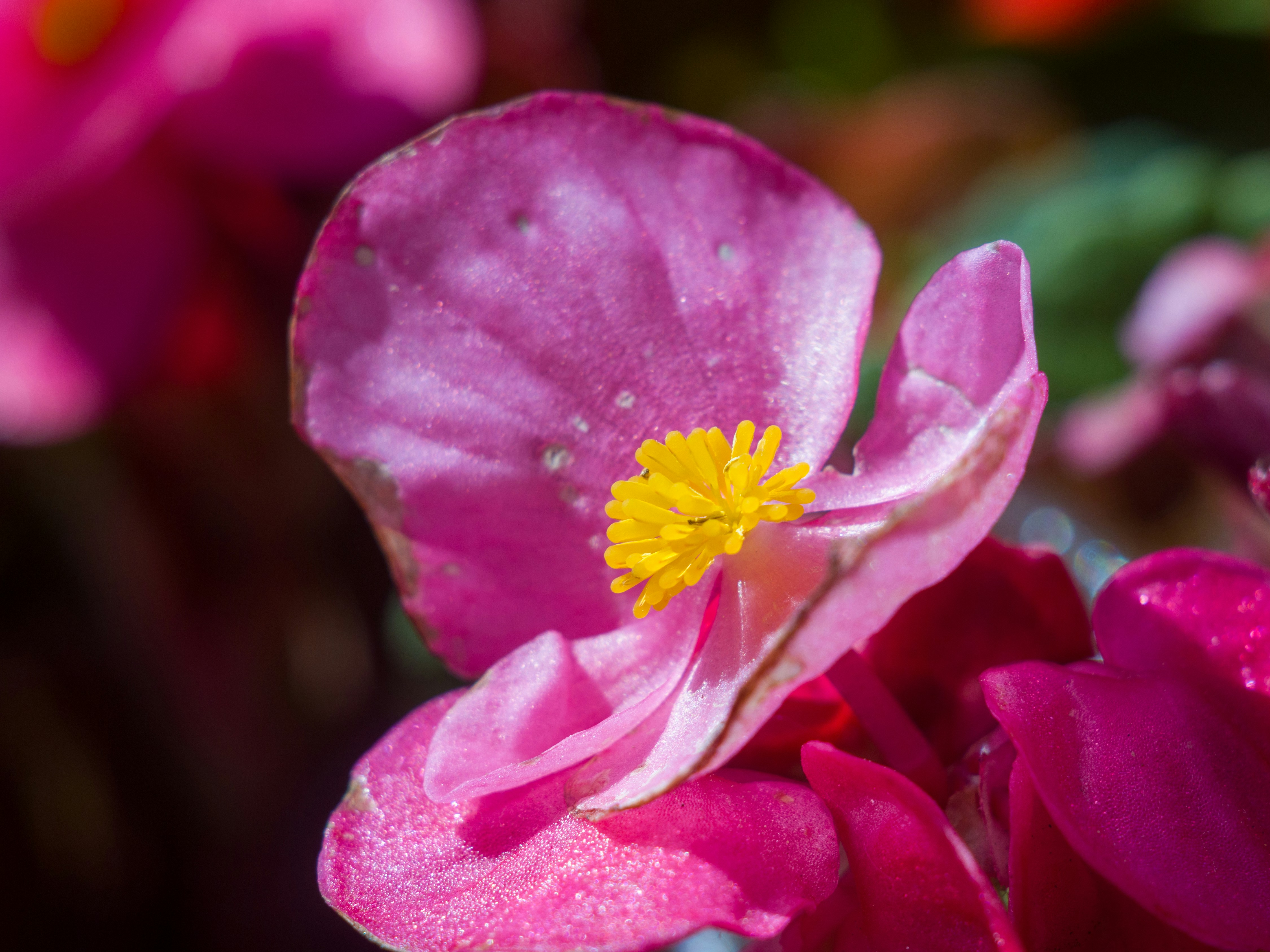 Photo by uin84917798