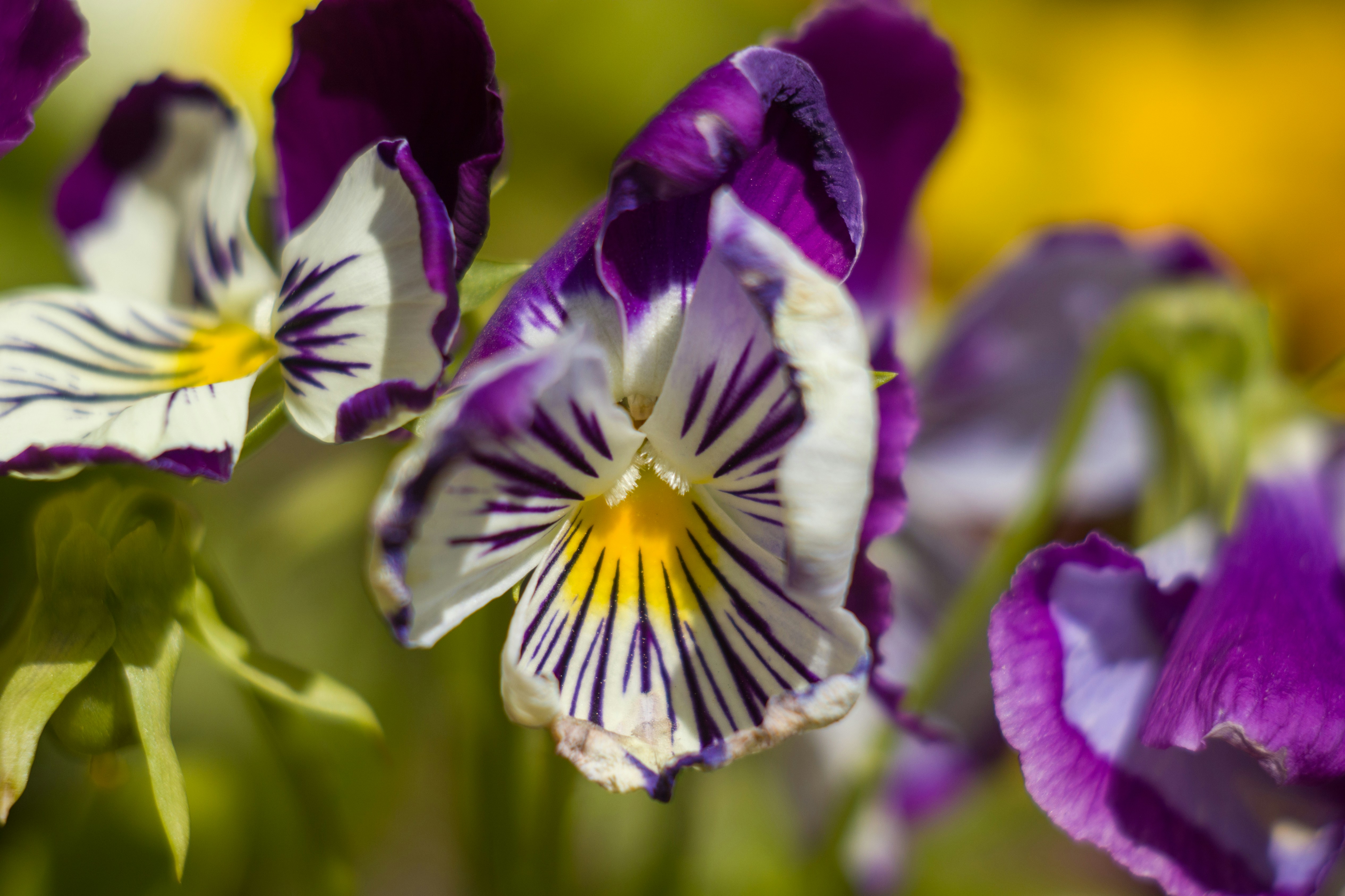 Photo by uin84917798