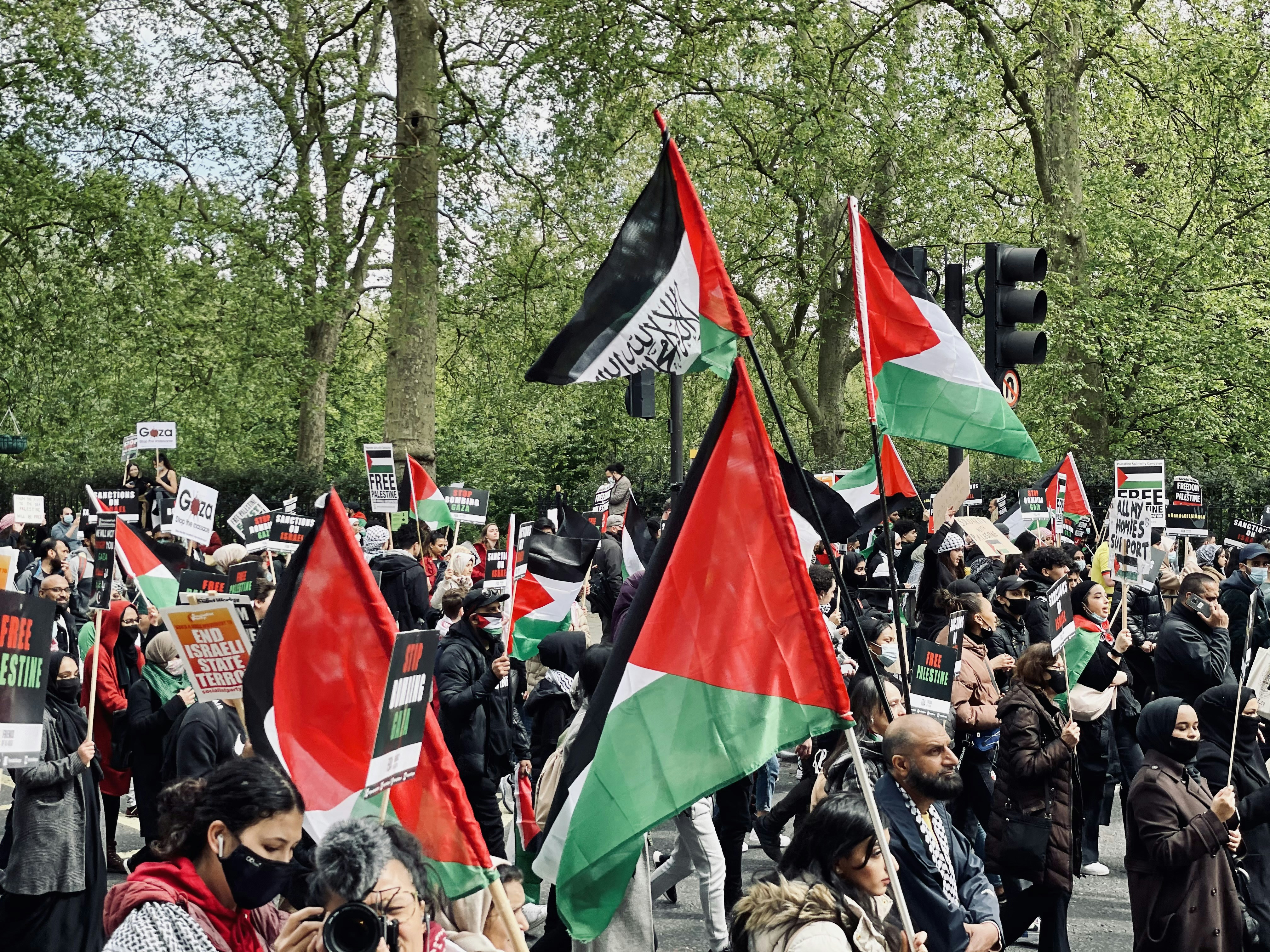 Greta Thunberg é detida em Londres durante protesto de apoio à Palestina