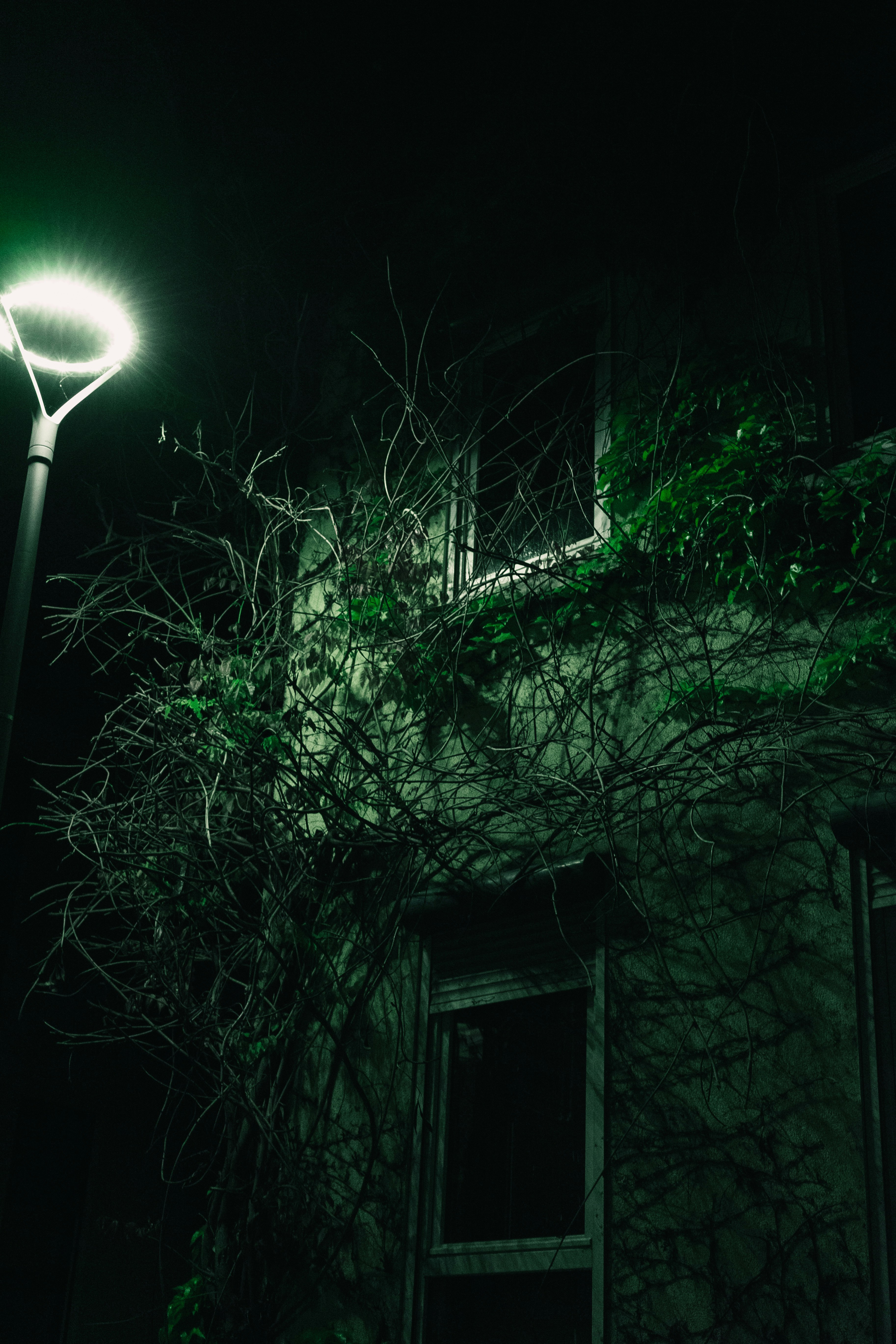 Photo by benjaminmerkle