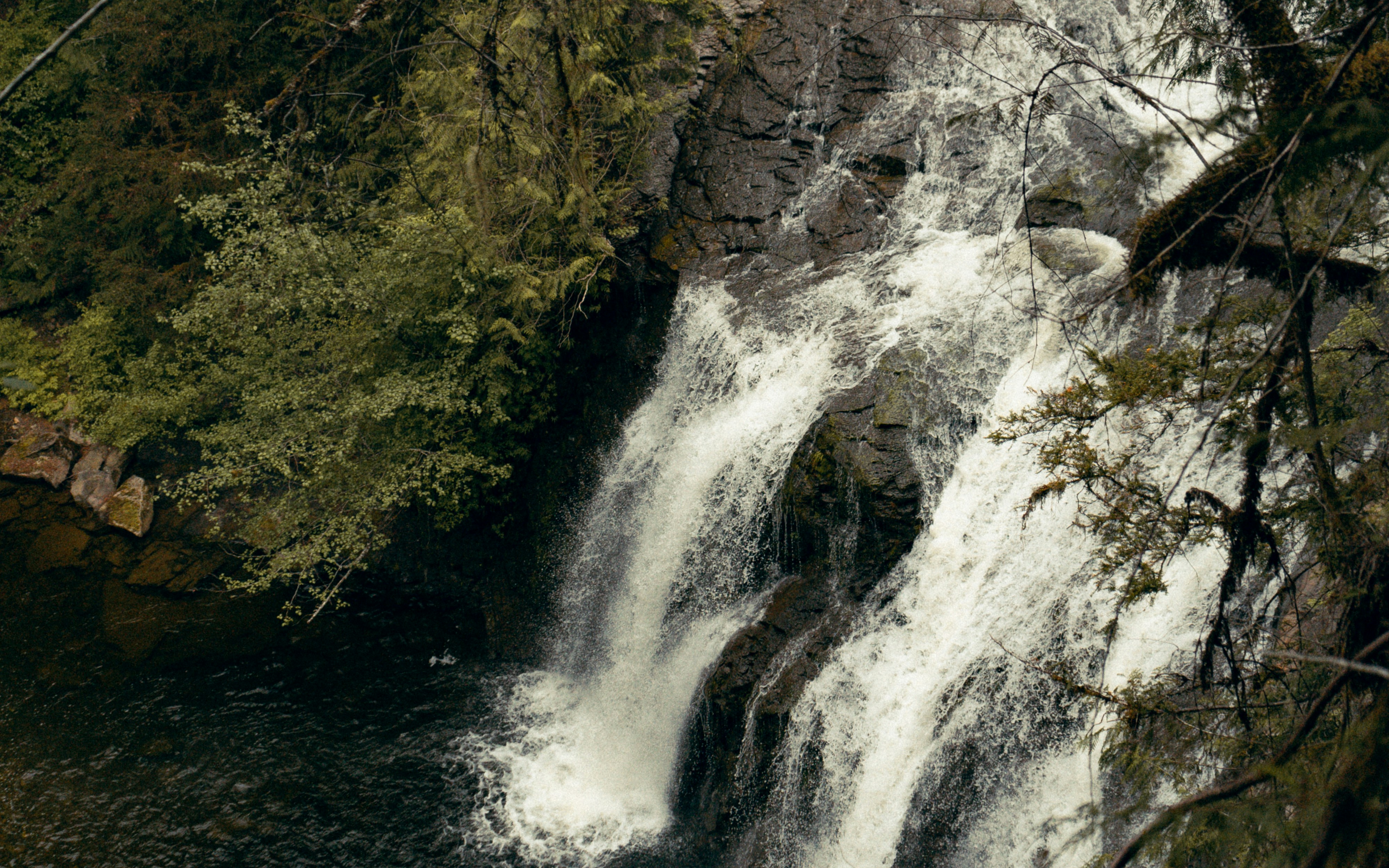 Stop image for San Francisco to Mount Shasta: 3-Day Scenic Nature Escape - waterfalls in forest during daytime -  in Pacific Northwest & West Coast - Photo by Cole Freeman on Unsplash