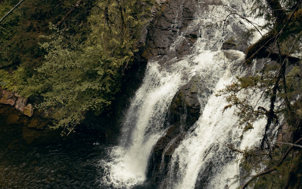 waterfalls in forest during daytime