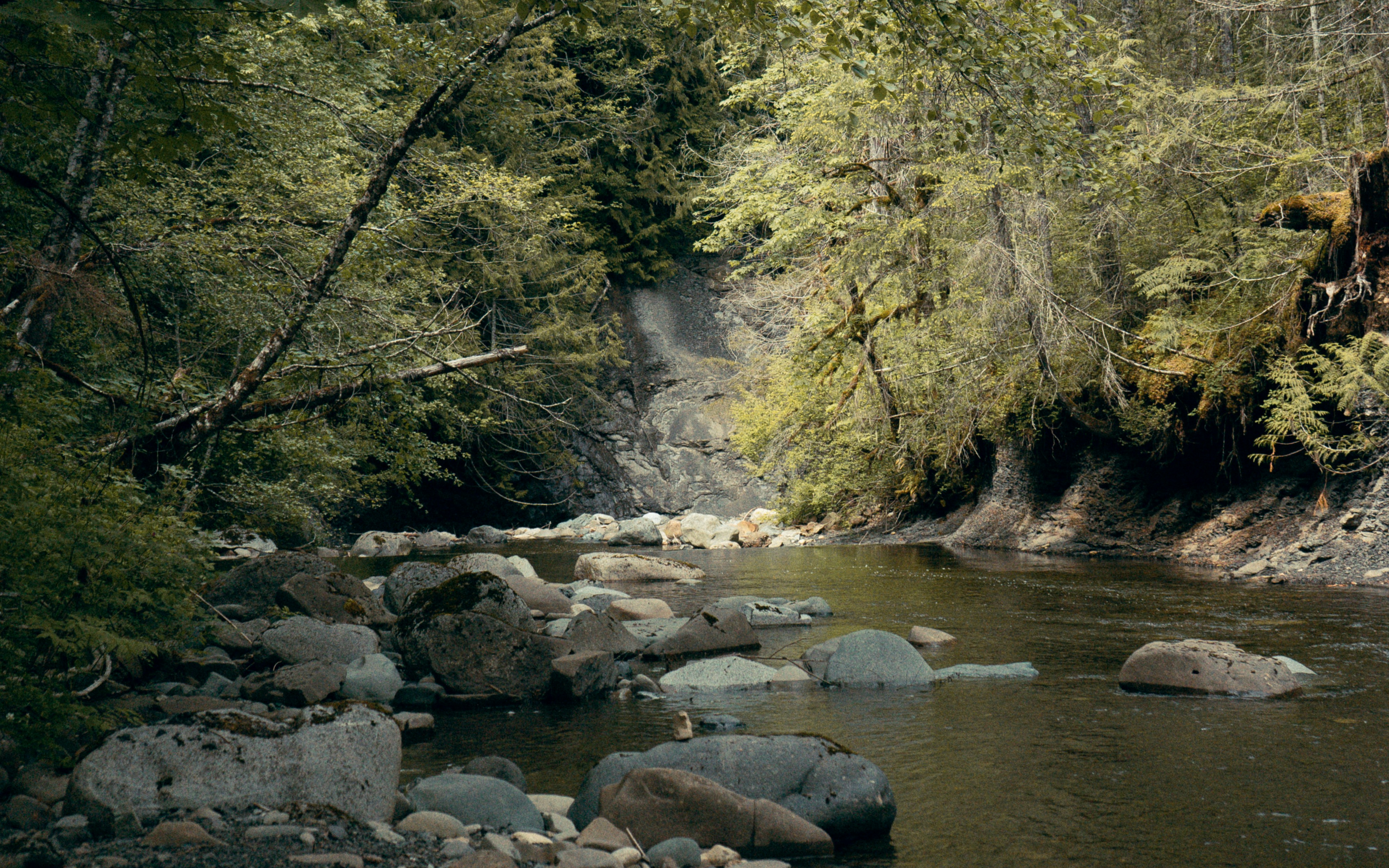 BC Tourism Unites for 2026 World Cup