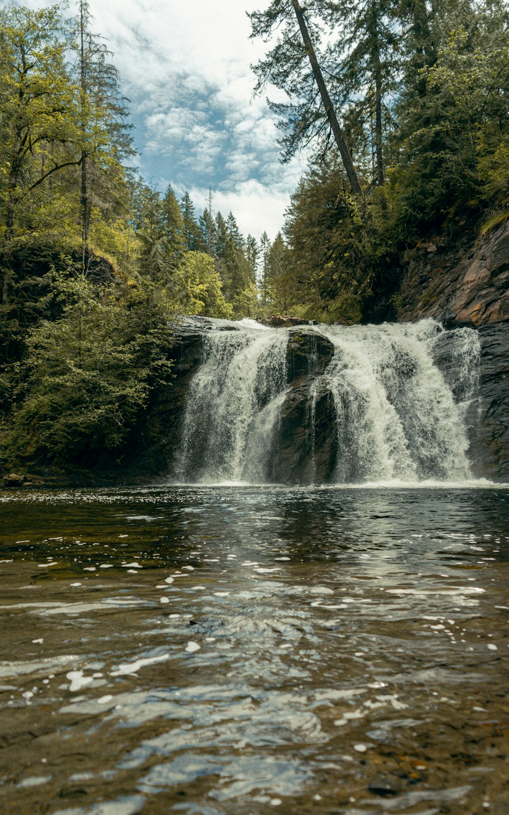 waterfalls in forest during daytime