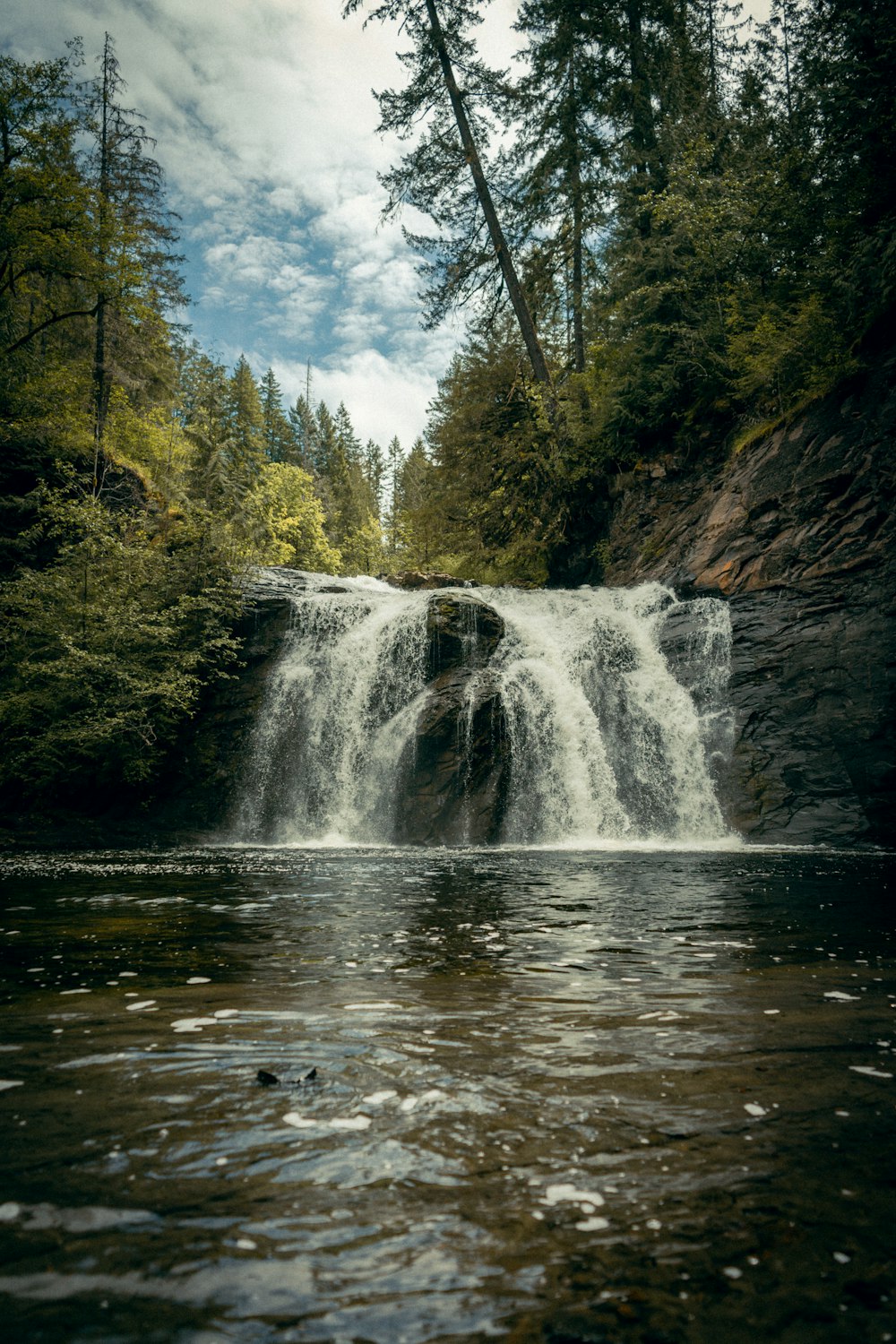 Cascadas en medio del bosque durante el día