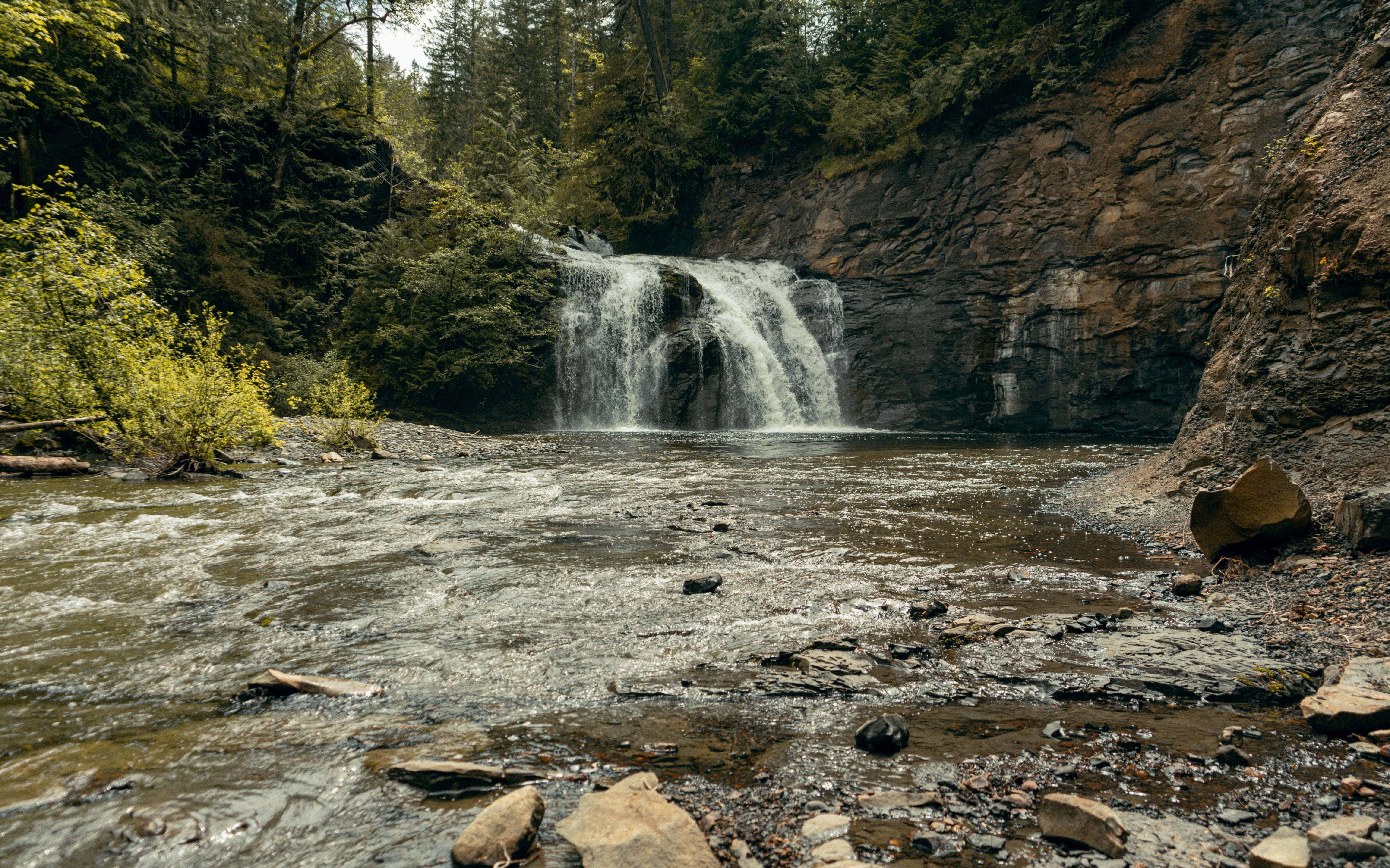 Photo by colefreeman