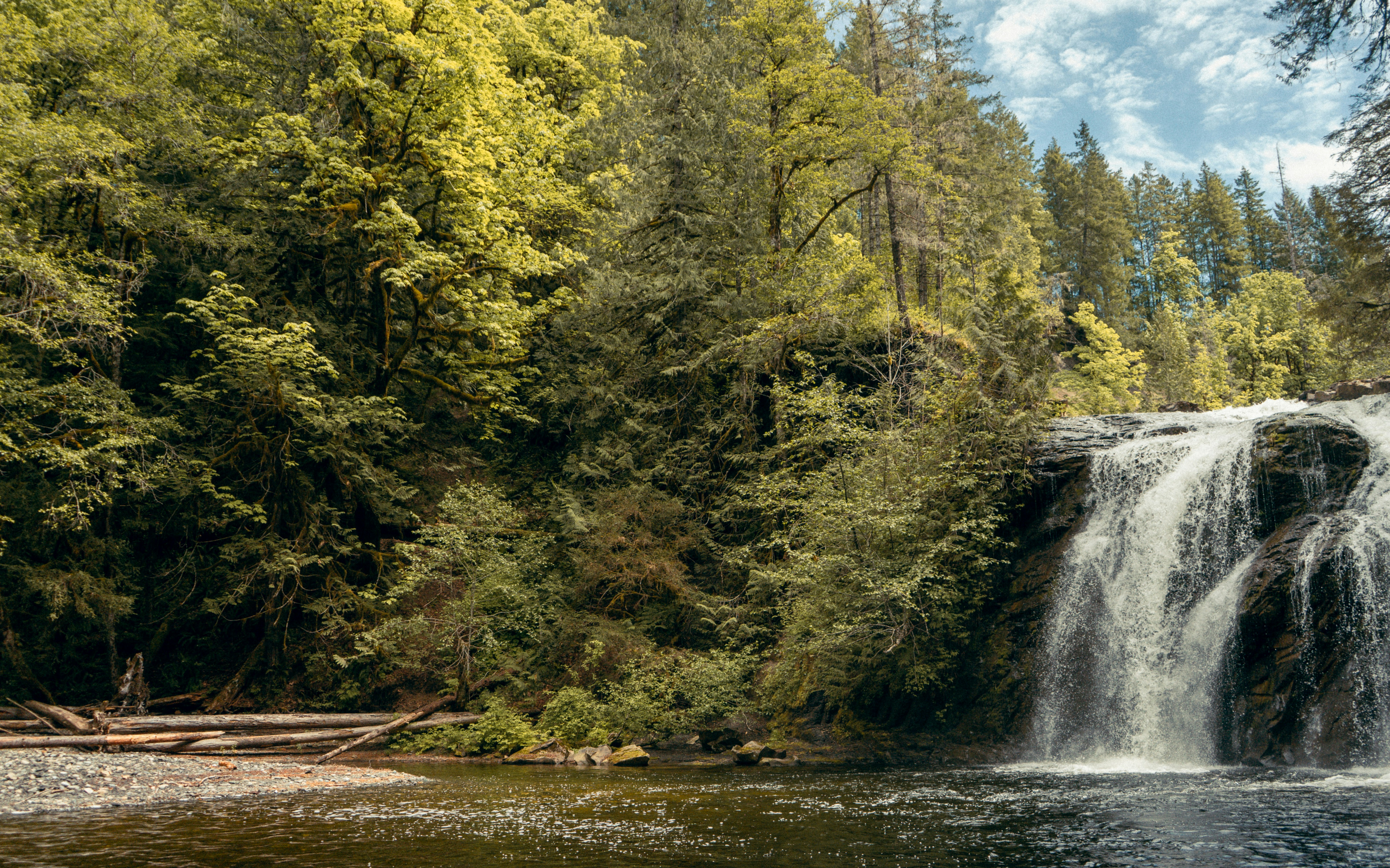 Photo by colefreeman