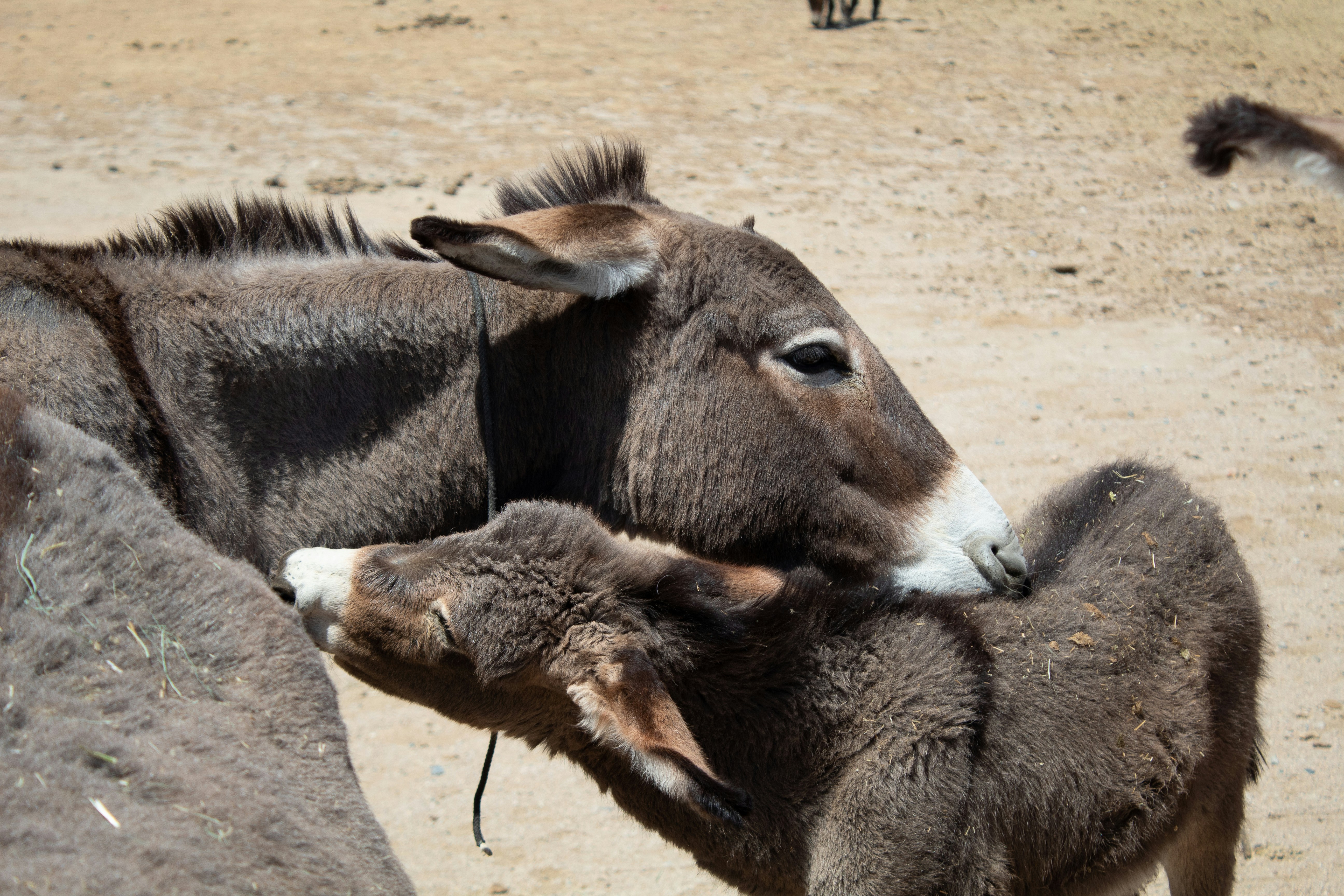 Photo by brianwangenheim