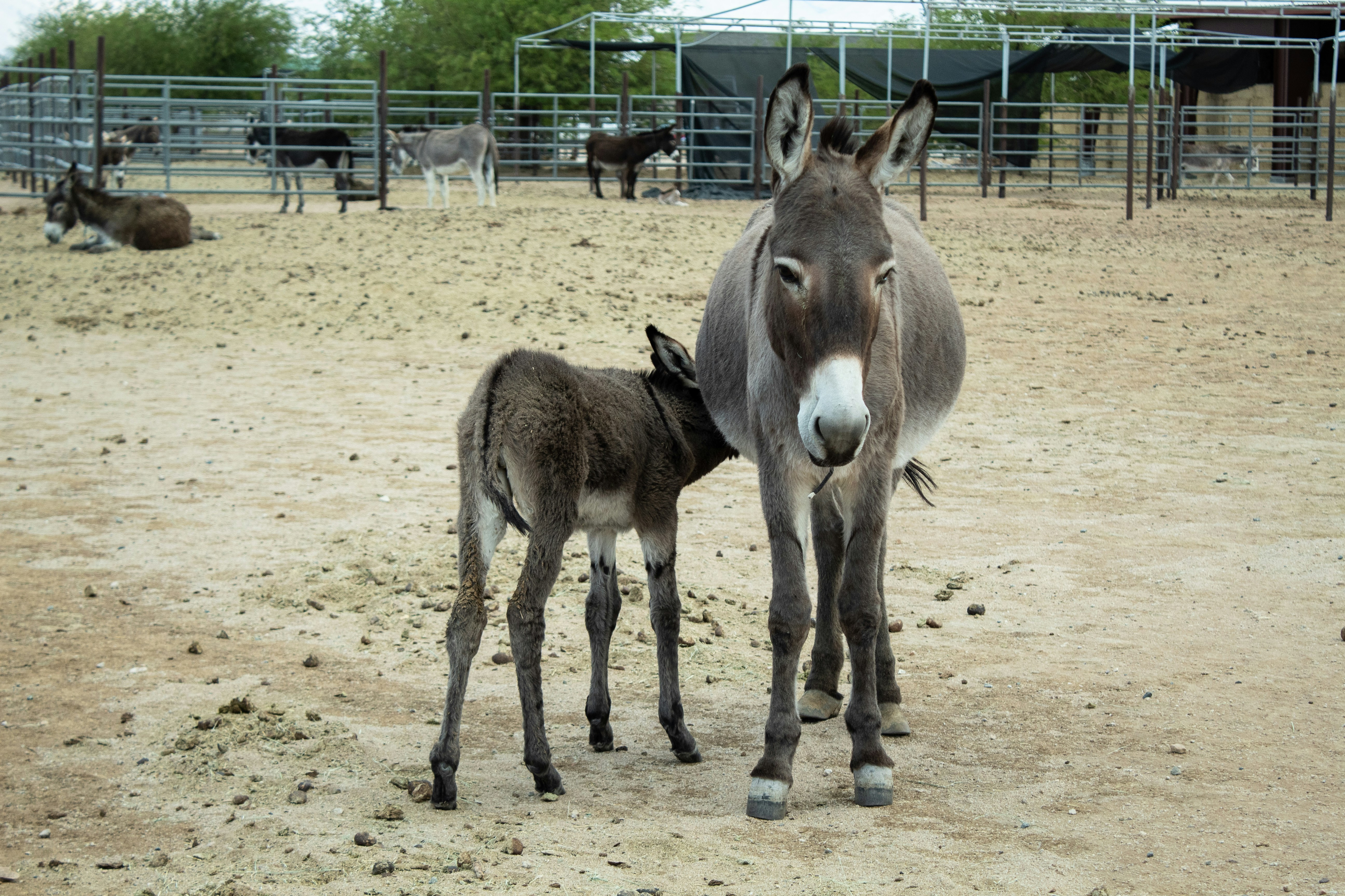 Photo by brianwangenheim