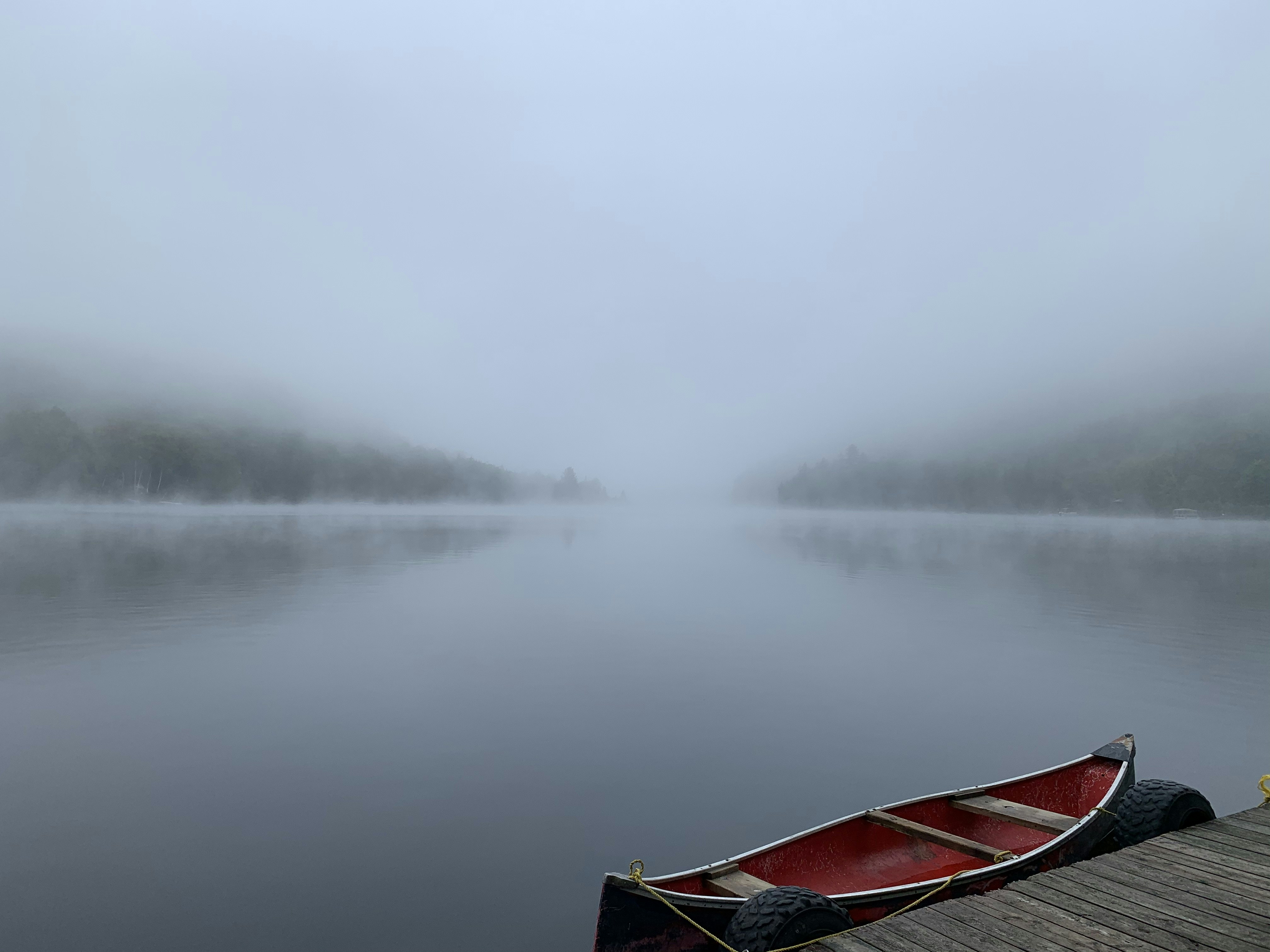 Photo by jeremyfernandes