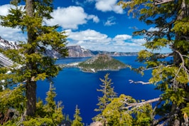 green trees near blue lake under blue sky during daytime