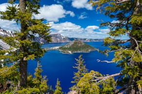 green trees near blue lake under blue sky during daytime