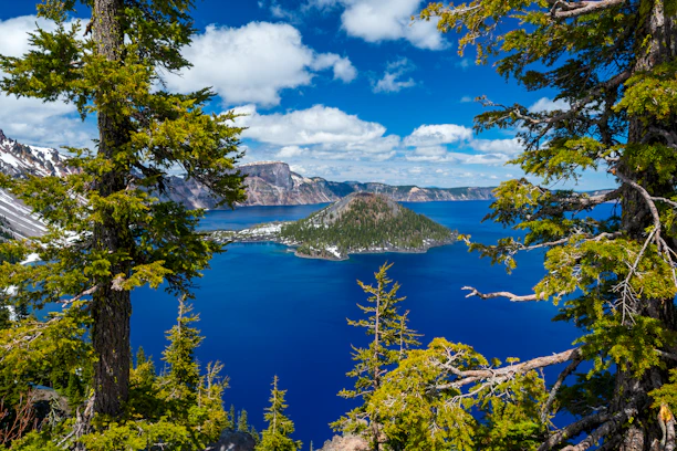 green trees near blue lake under blue sky during daytime