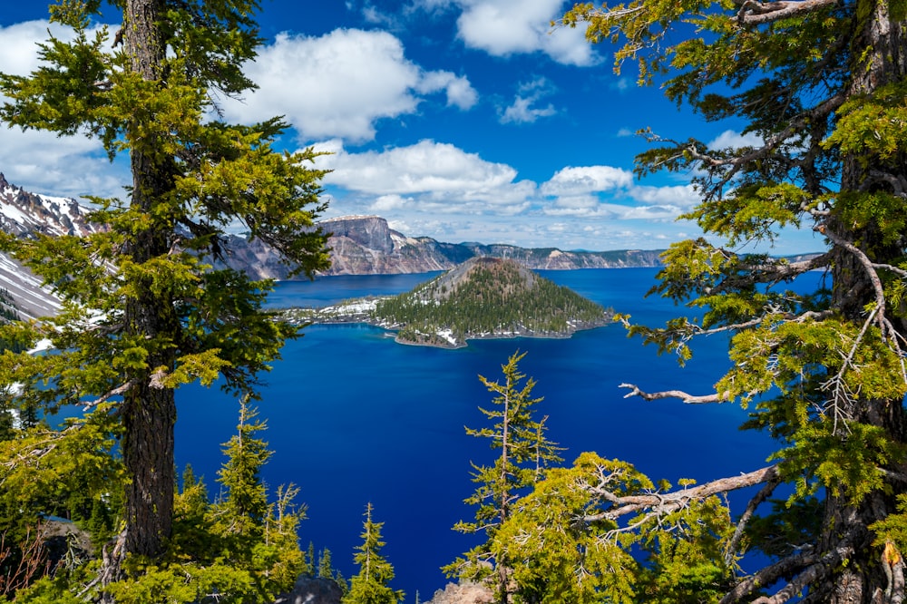 green trees near blue lake under blue sky during daytime