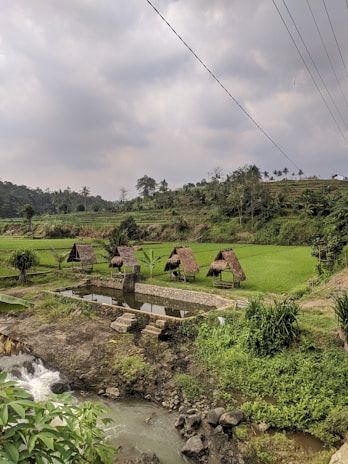 A scenic view of Satkhira, representing the local community and resilience.