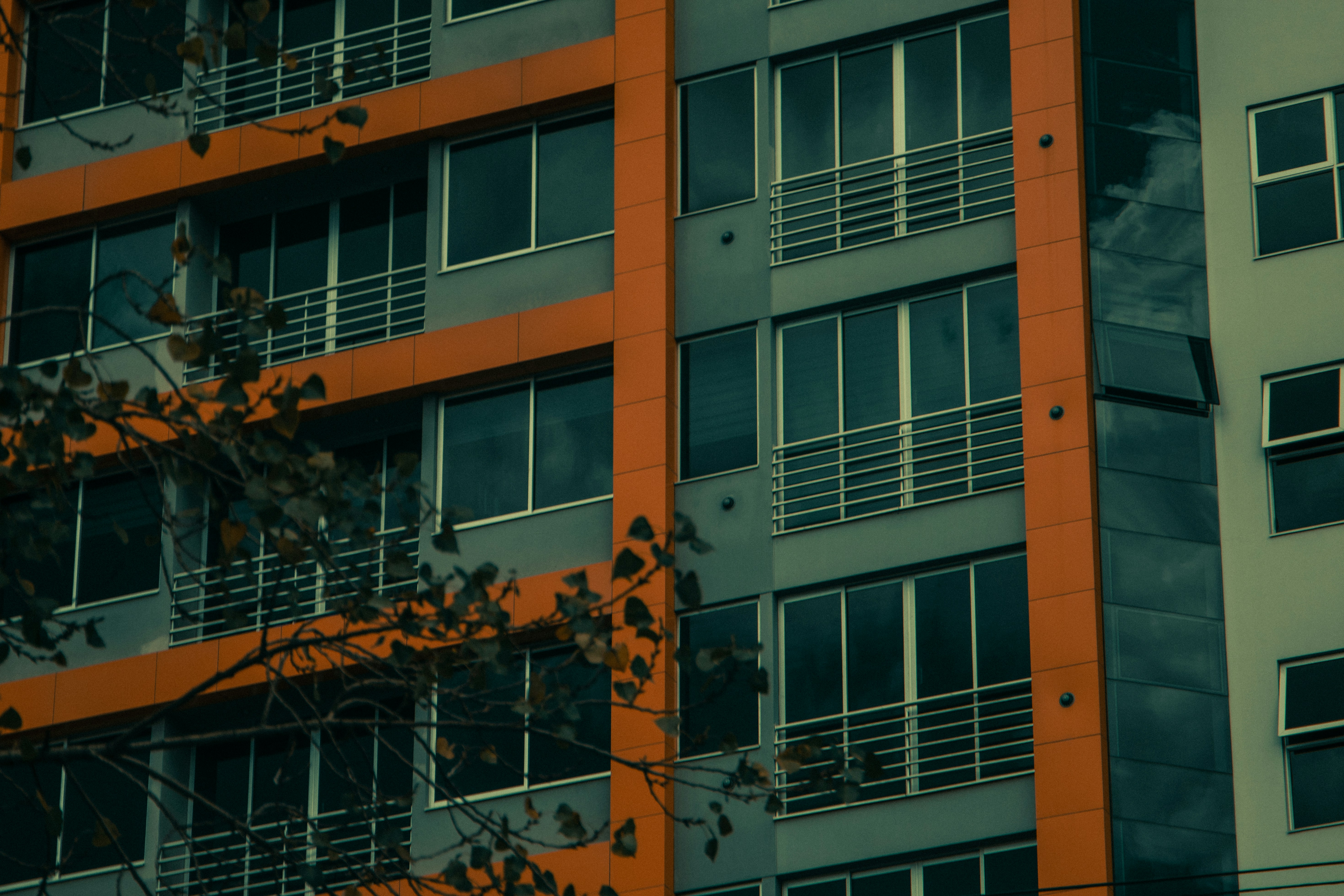 Photo by lecaminante