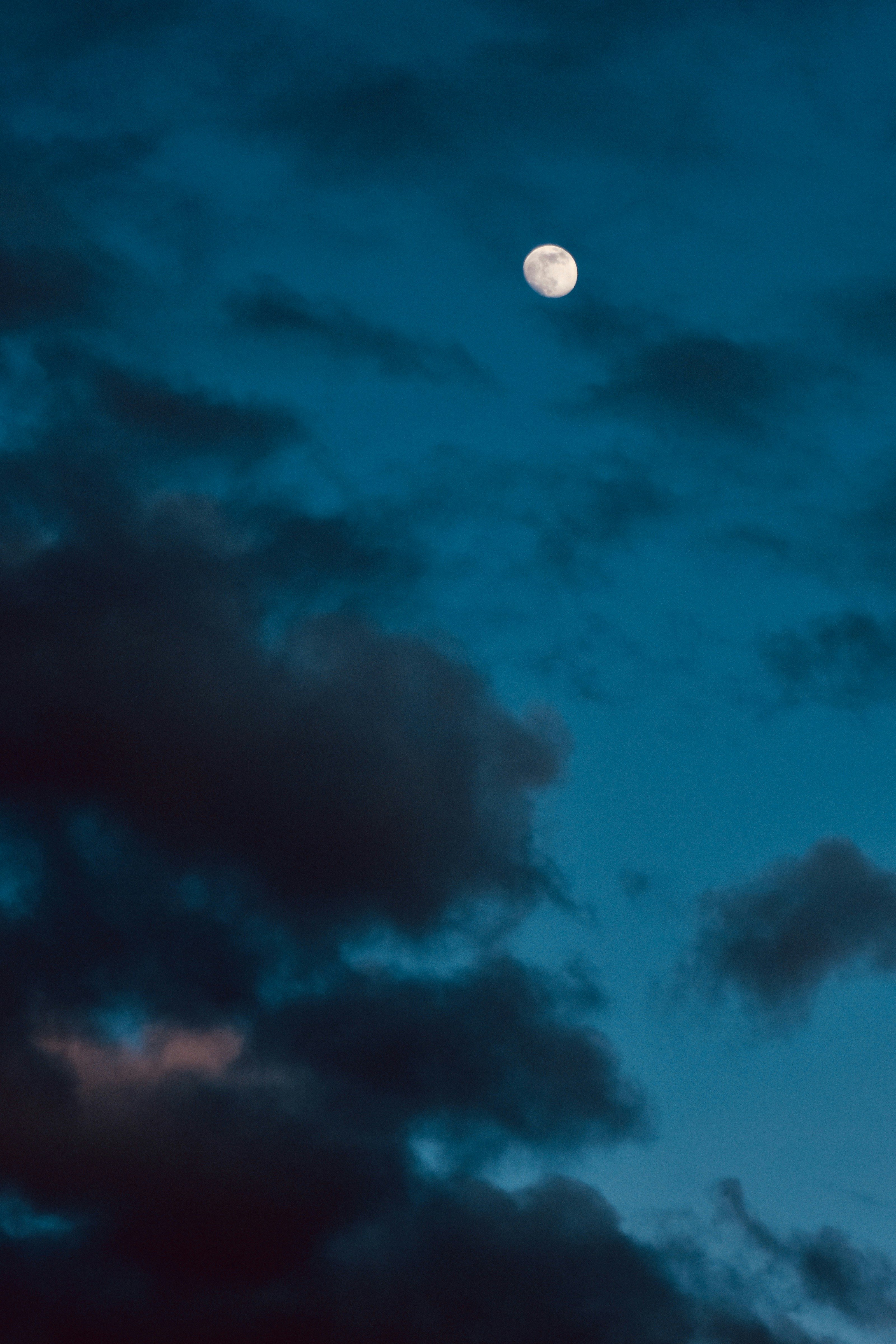 Photo by camielise77