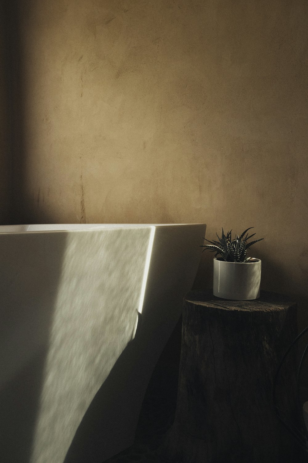 green potted plant on white concrete wall