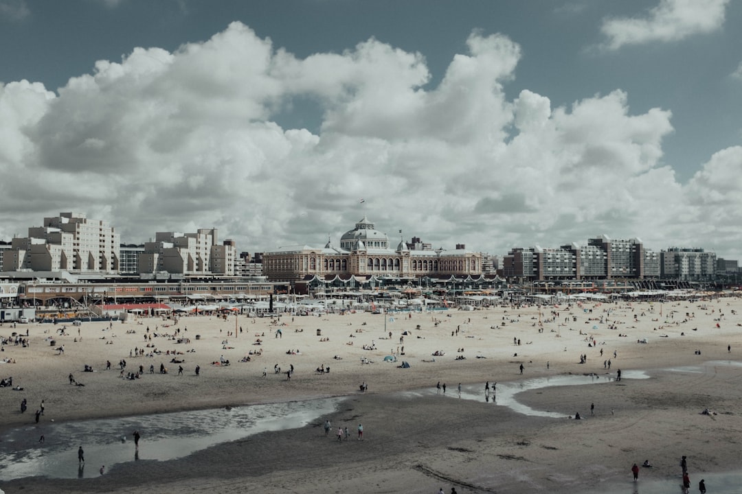 people on beach during daytime