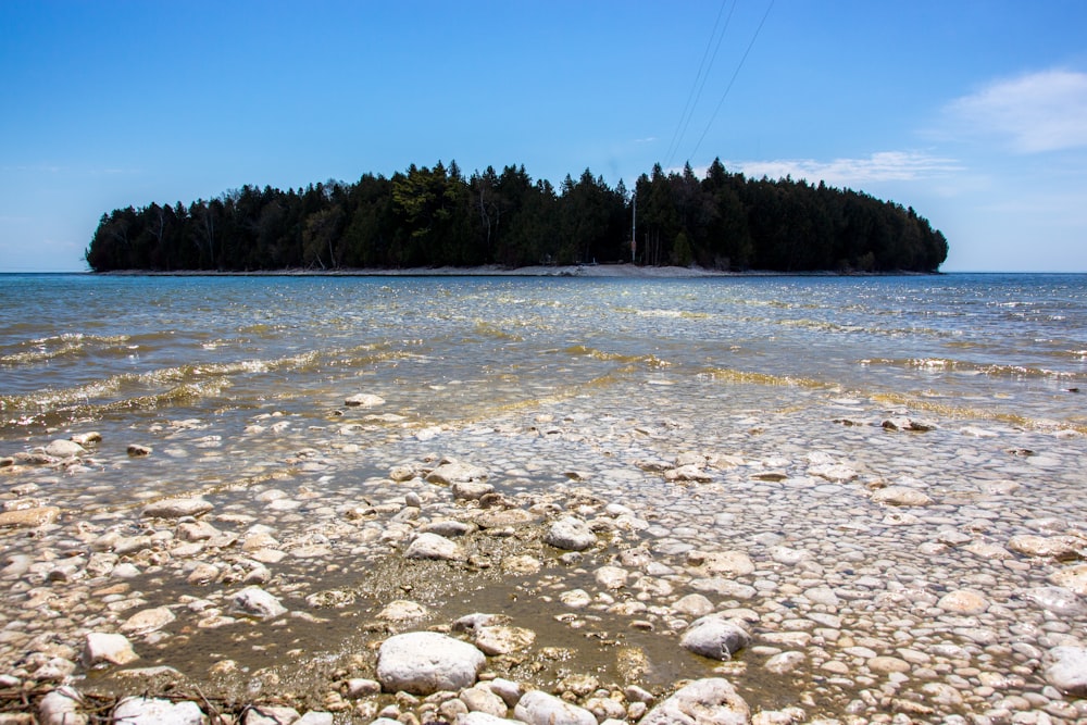 gray and white stones near body of water during daytime