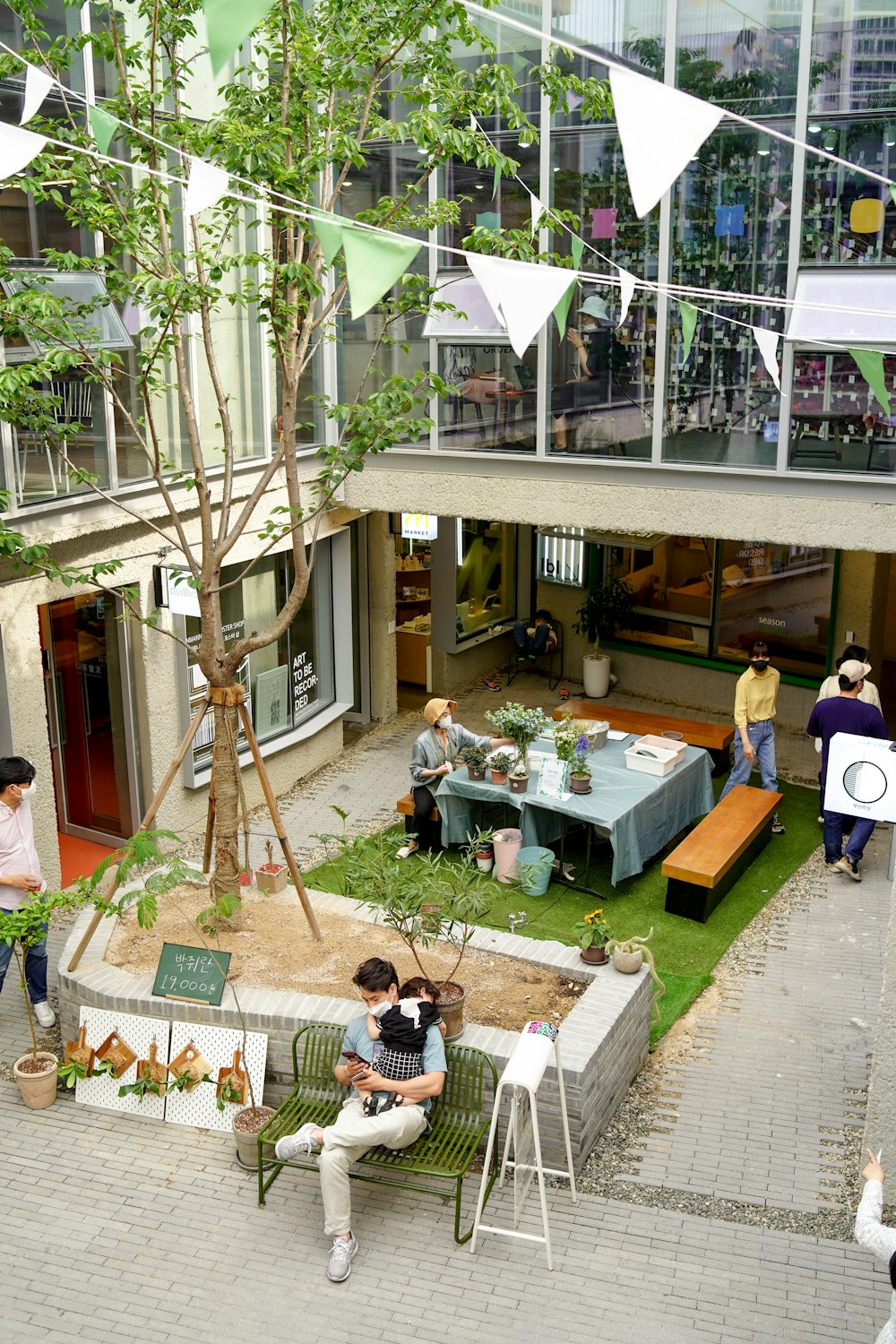 people sitting on chairs near table and trees during daytime