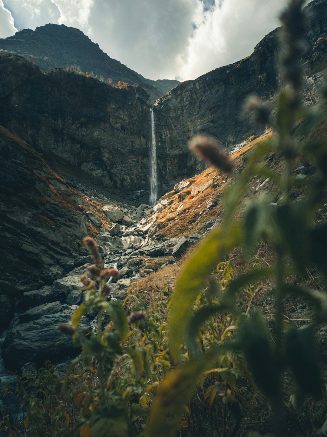 green grass and brown rocks near waterfalls