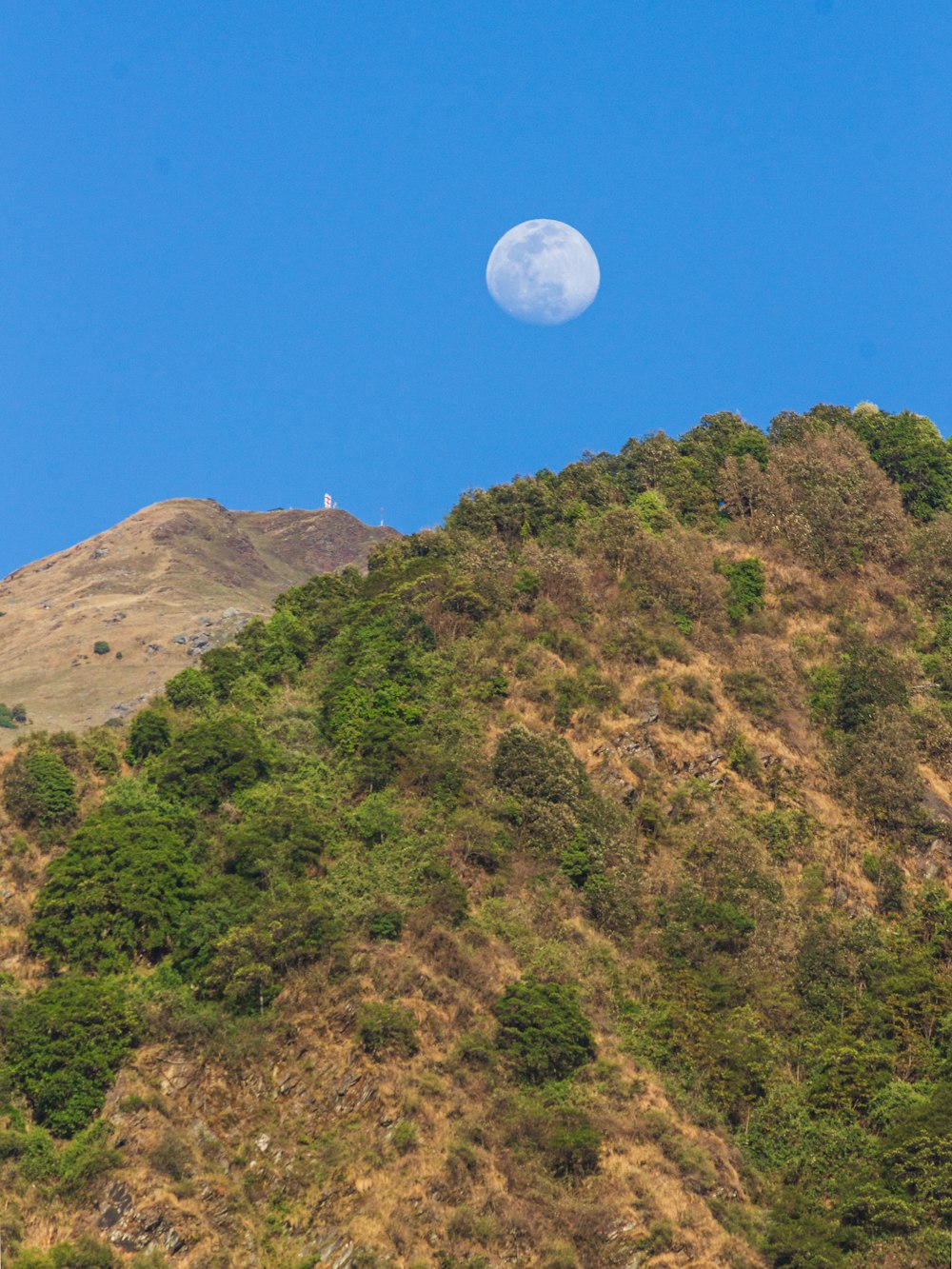 alberi verdi sulla montagna sotto il cielo blu durante il giorno