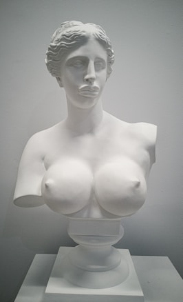 A white marble bust of a classical figure with detailed facial features and wavy hair. The sculpture is positioned against a plain background and is displayed on a pedestal. The artwork is an example of classical Greek sculpture, emphasizing idealized human form and elegance.