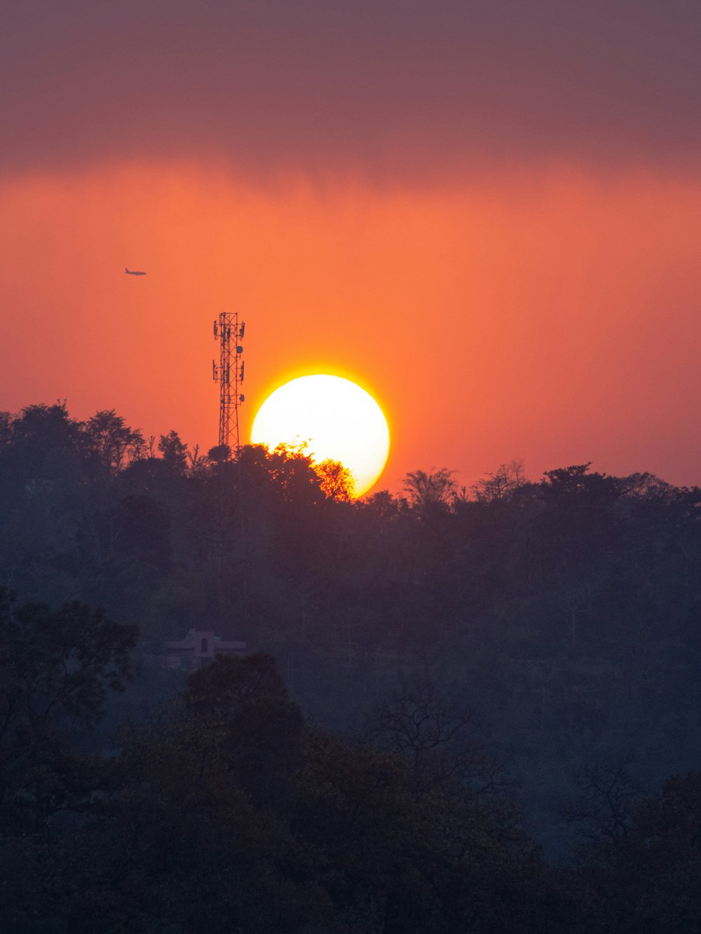 Grüne Bäume unter orangefarbenem Himmel