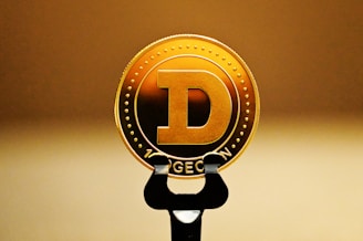 gold and silver round accessory