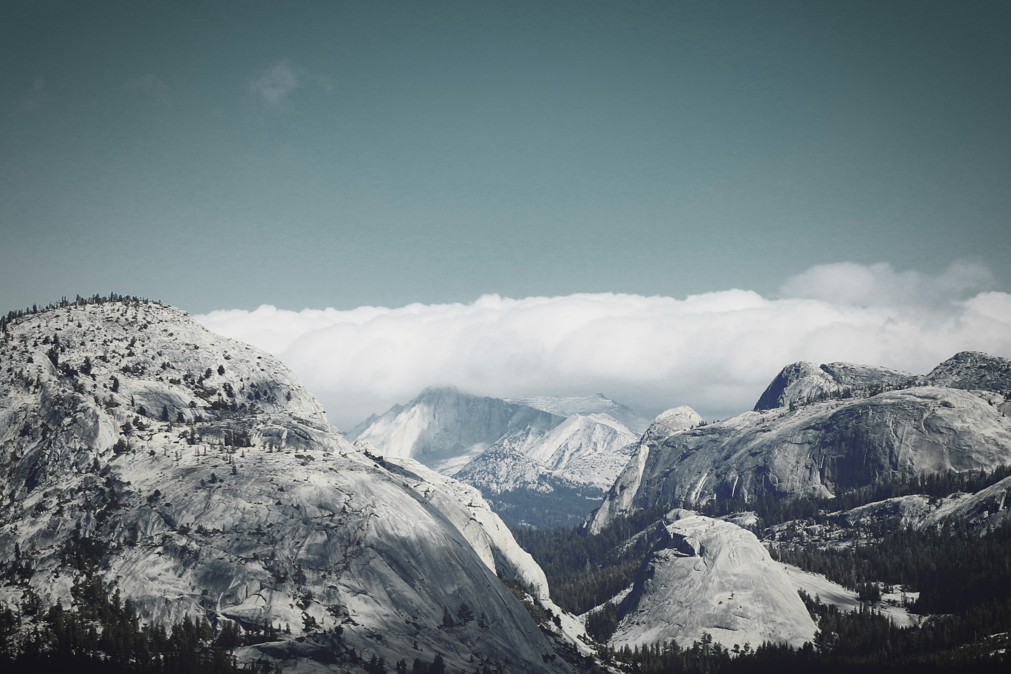 Photo by chaoscaptured