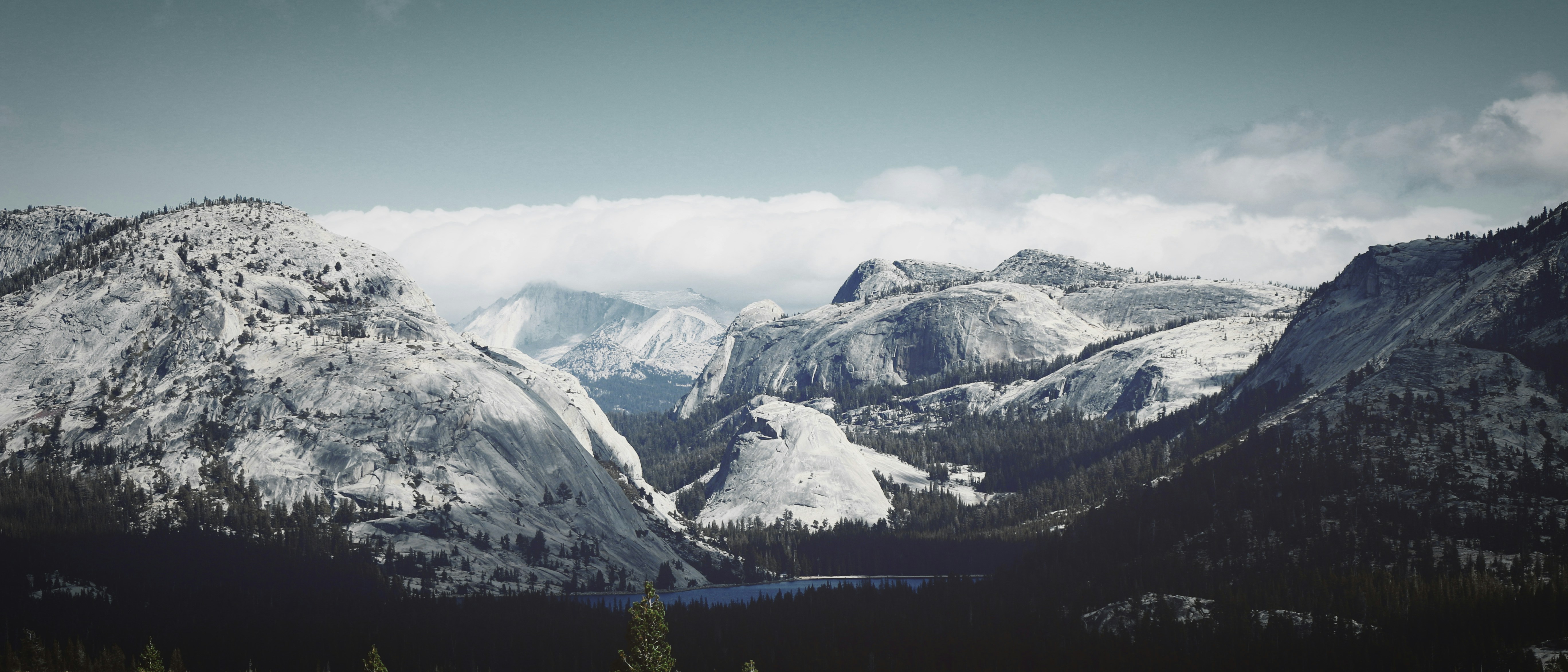 Photo by chaoscaptured