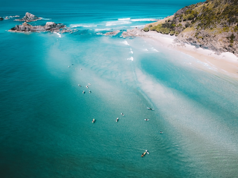 people on beach during daytime