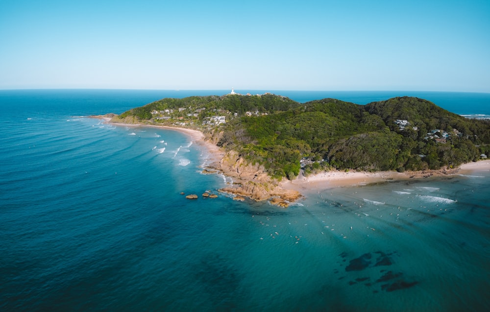 árvores verdes ao lado do mar azul sob o céu azul durante o dia