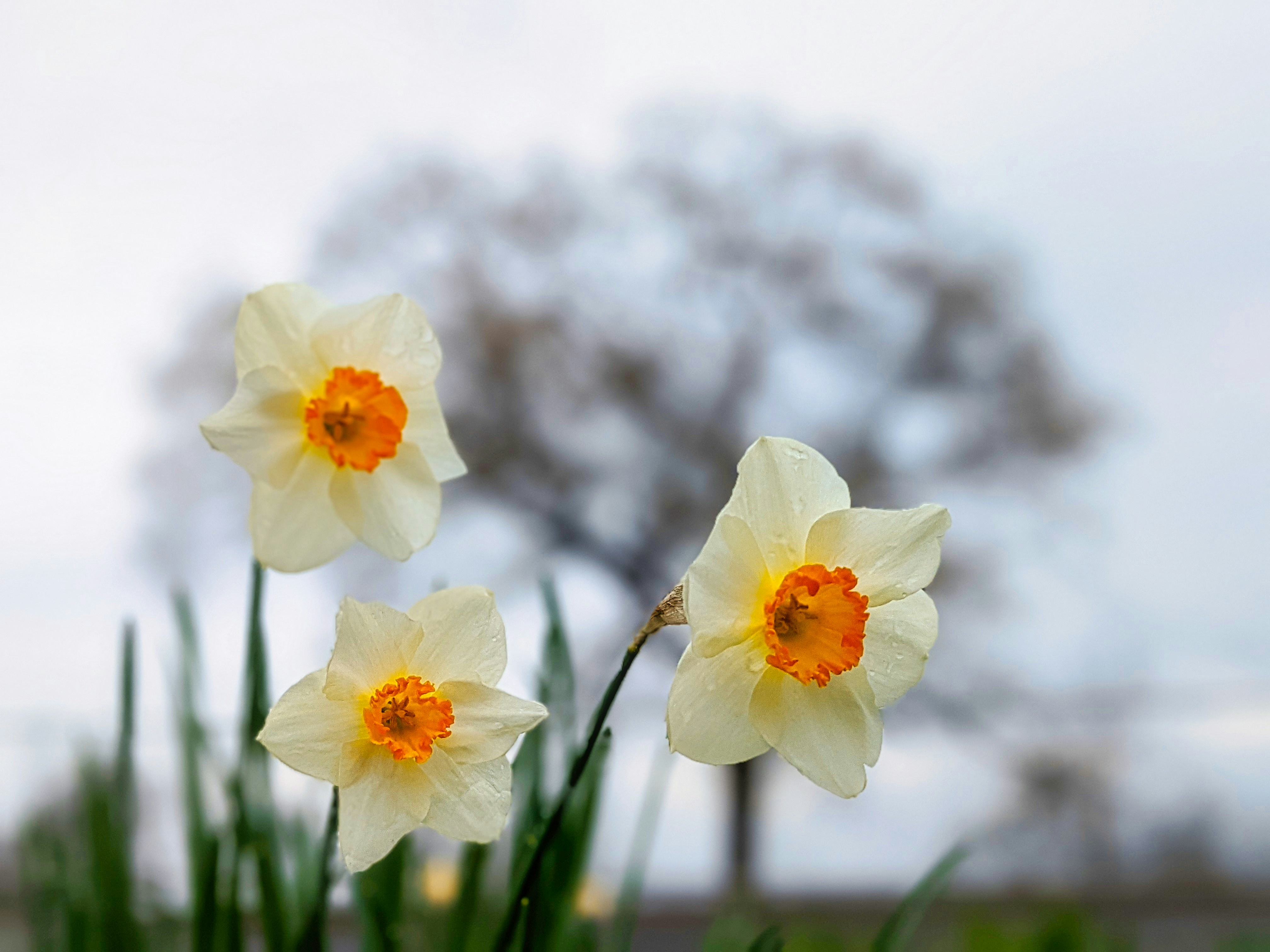 Photo by patrickseguin