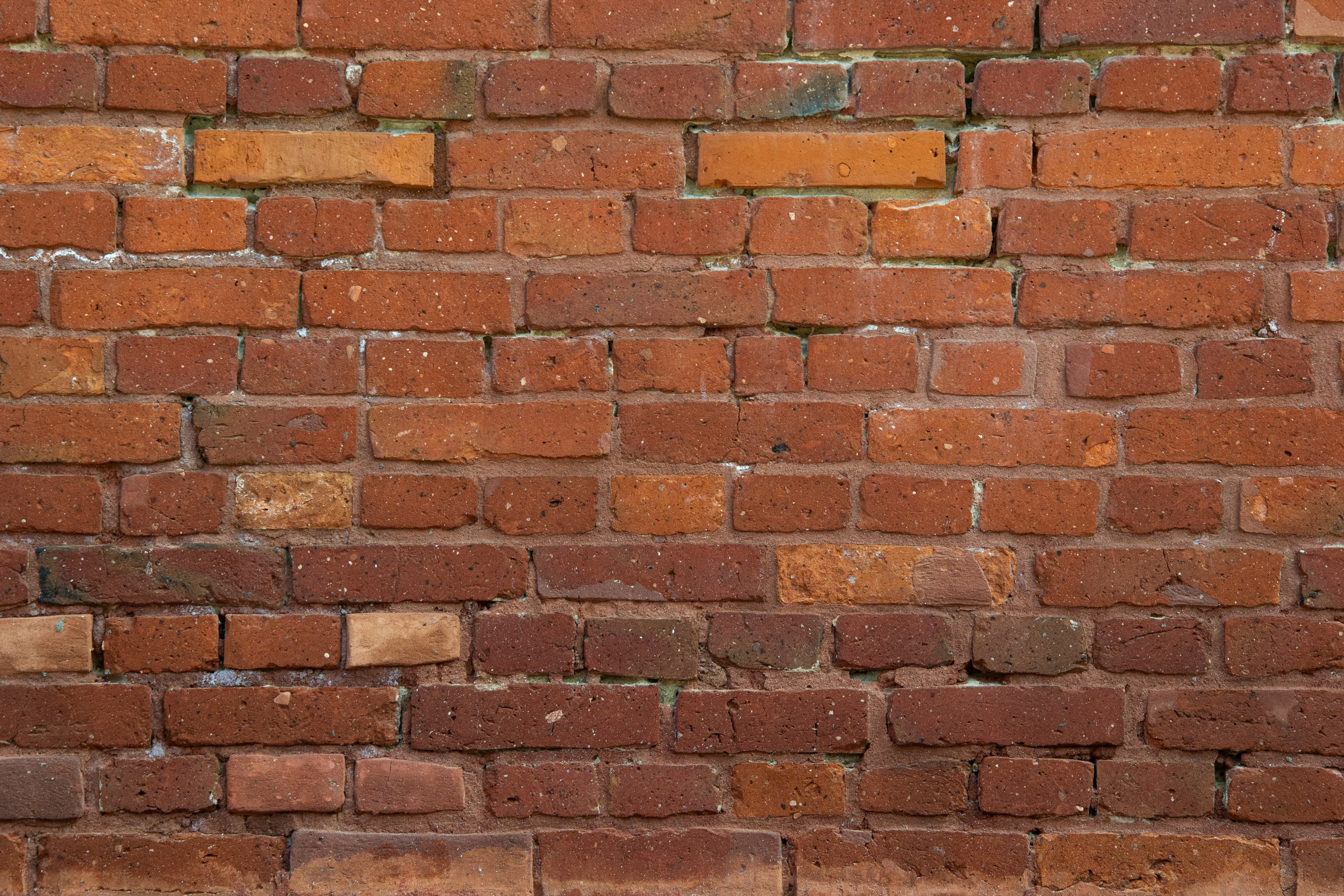 Photo by cptlajmenko