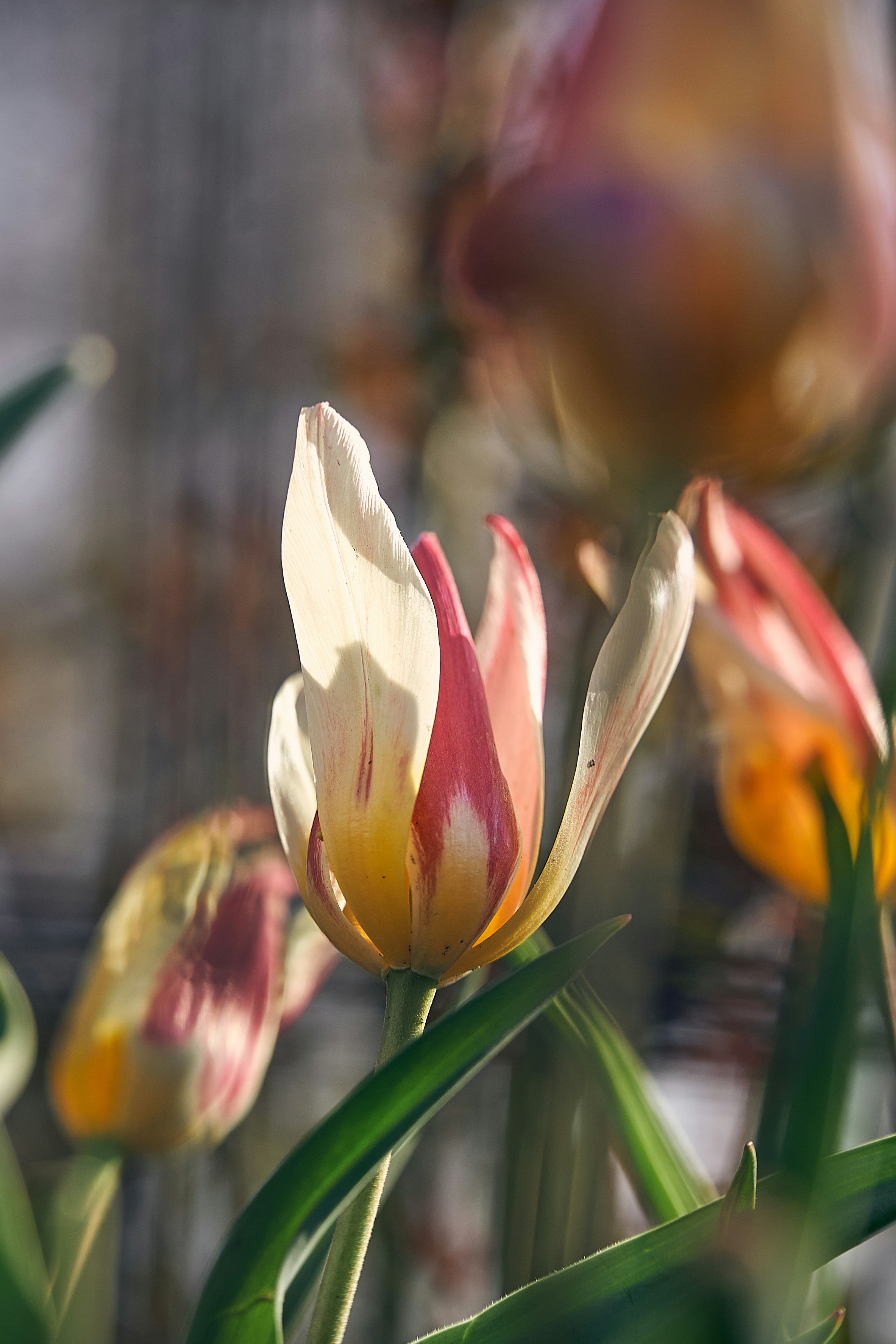 Photo by seven7media