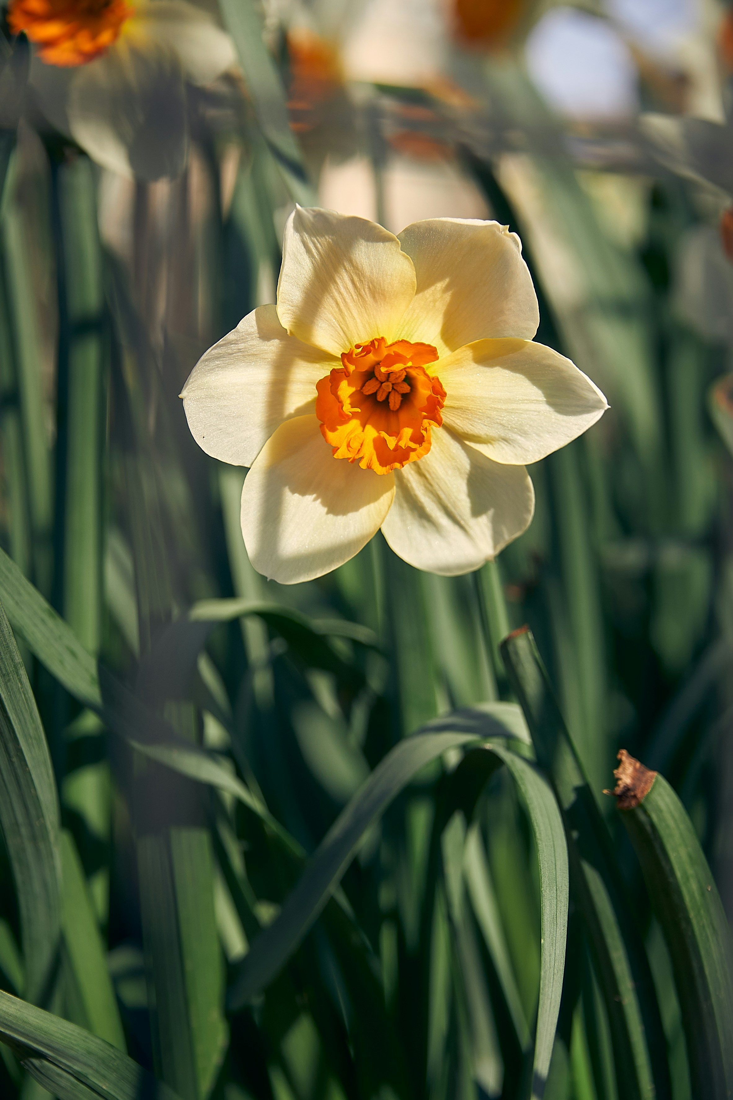 Photo by seven7media