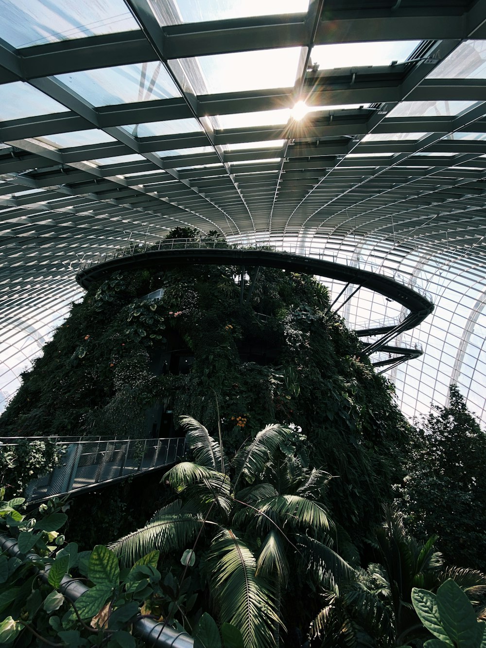 green plants inside greenhouse during daytime