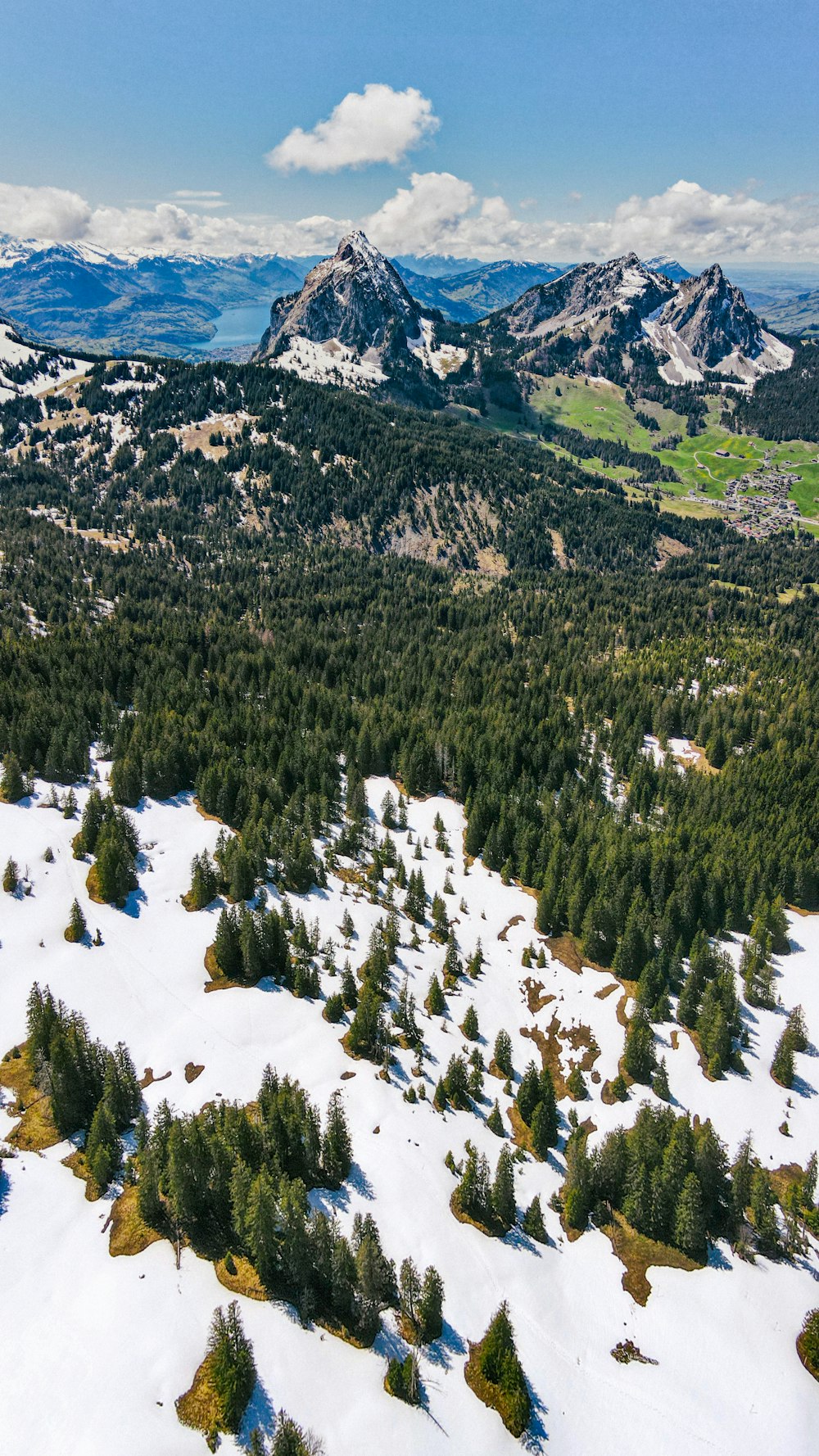 green trees on snow covered mountain during daytime