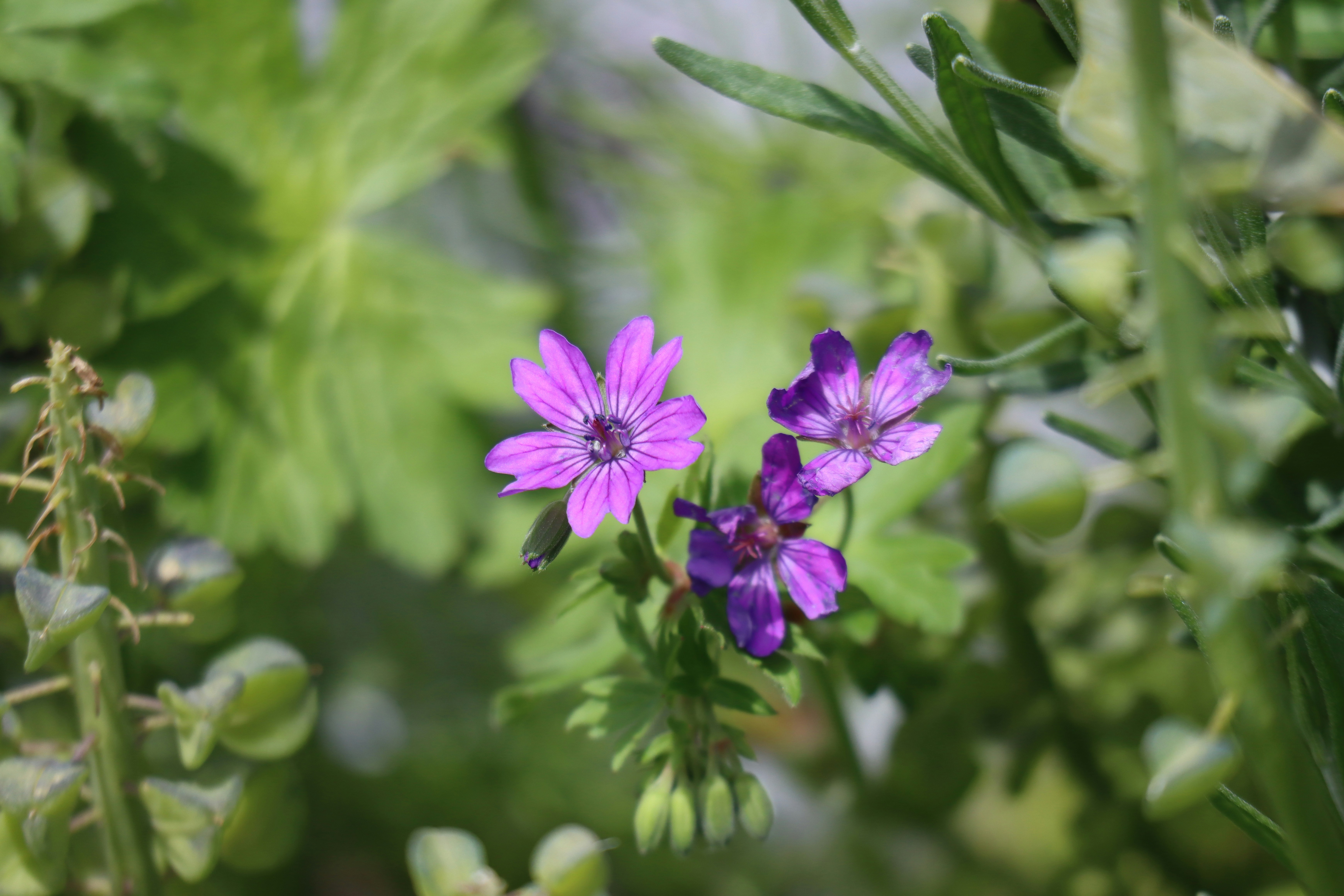 Photo by gatienbataille