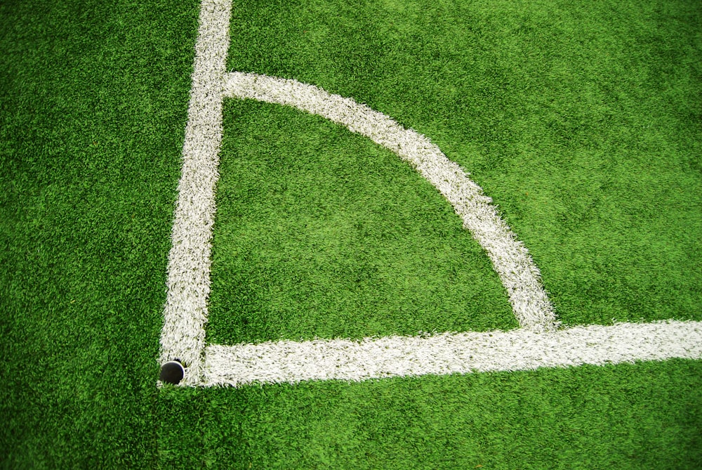 green and white soccer field