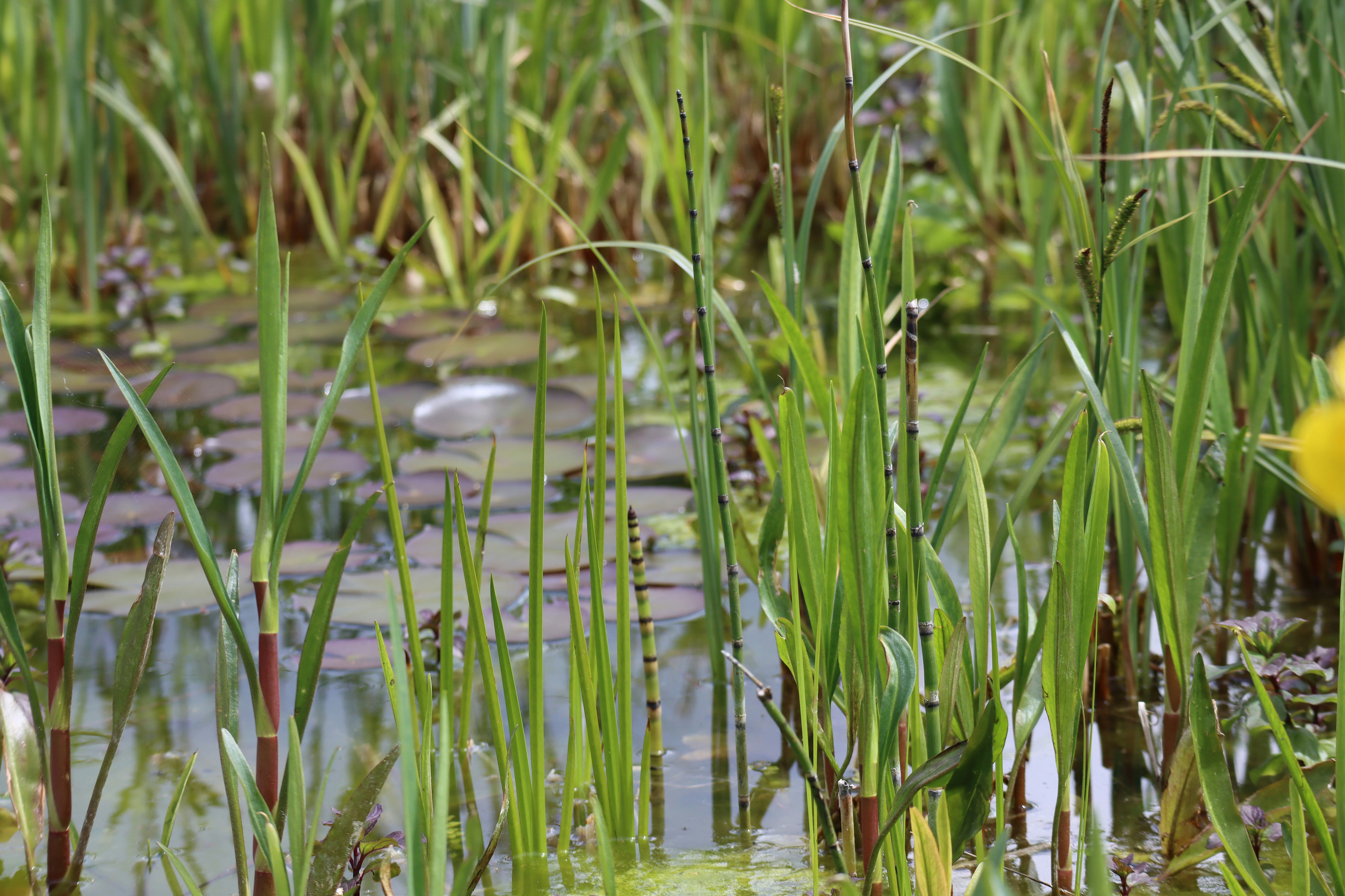 Photo by gatienbataille