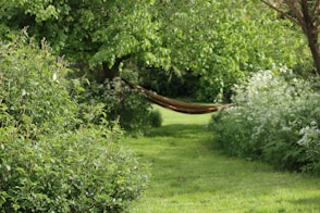 brown wooden round frame on green grass field